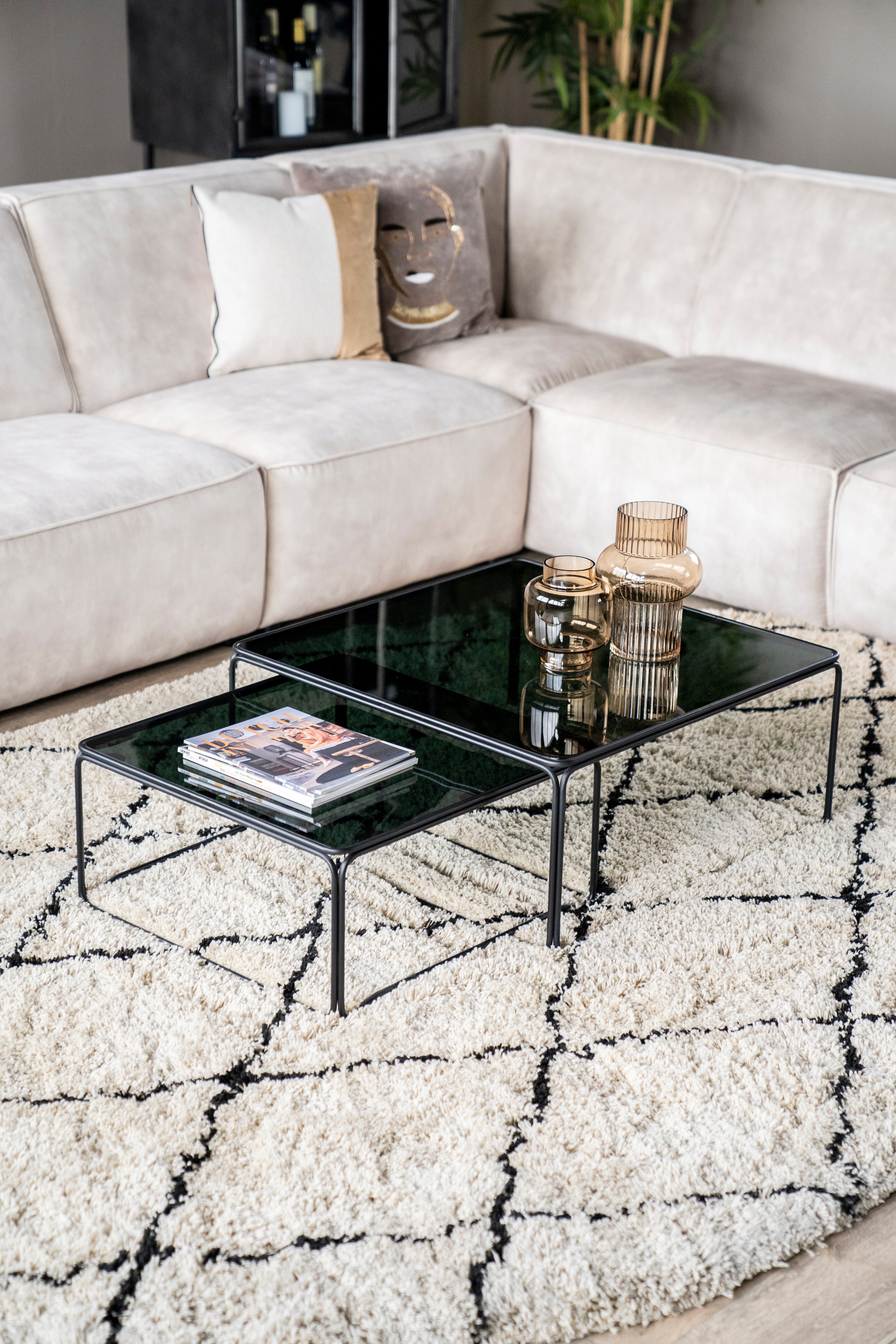 Beige ROX rug with black
