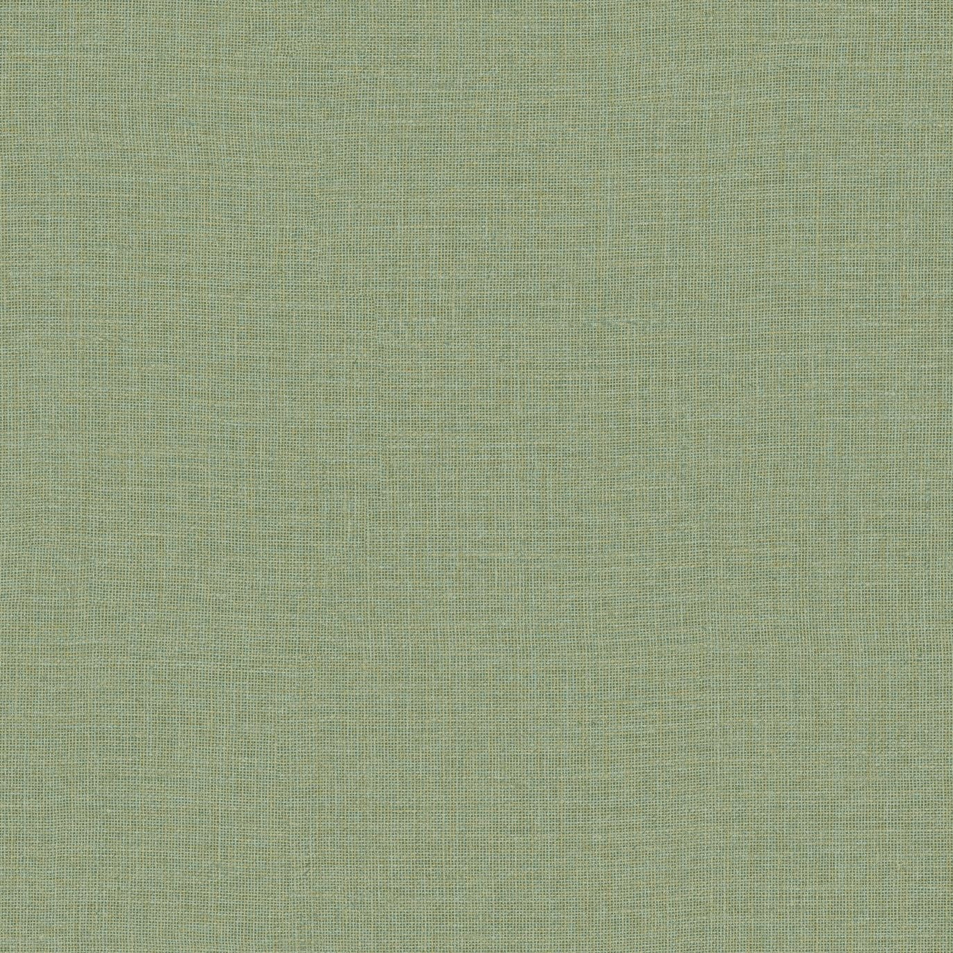 Structural wallpaper resembling canvas LIENZO - CACTUS cactus