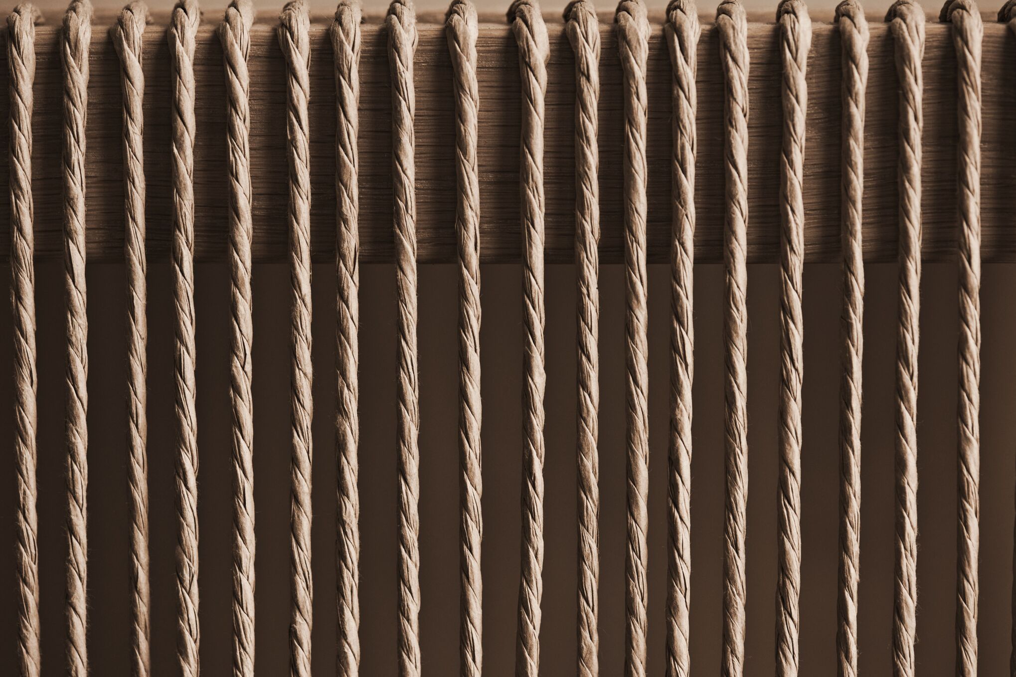 Witryna CORD bielone drewno dębowe