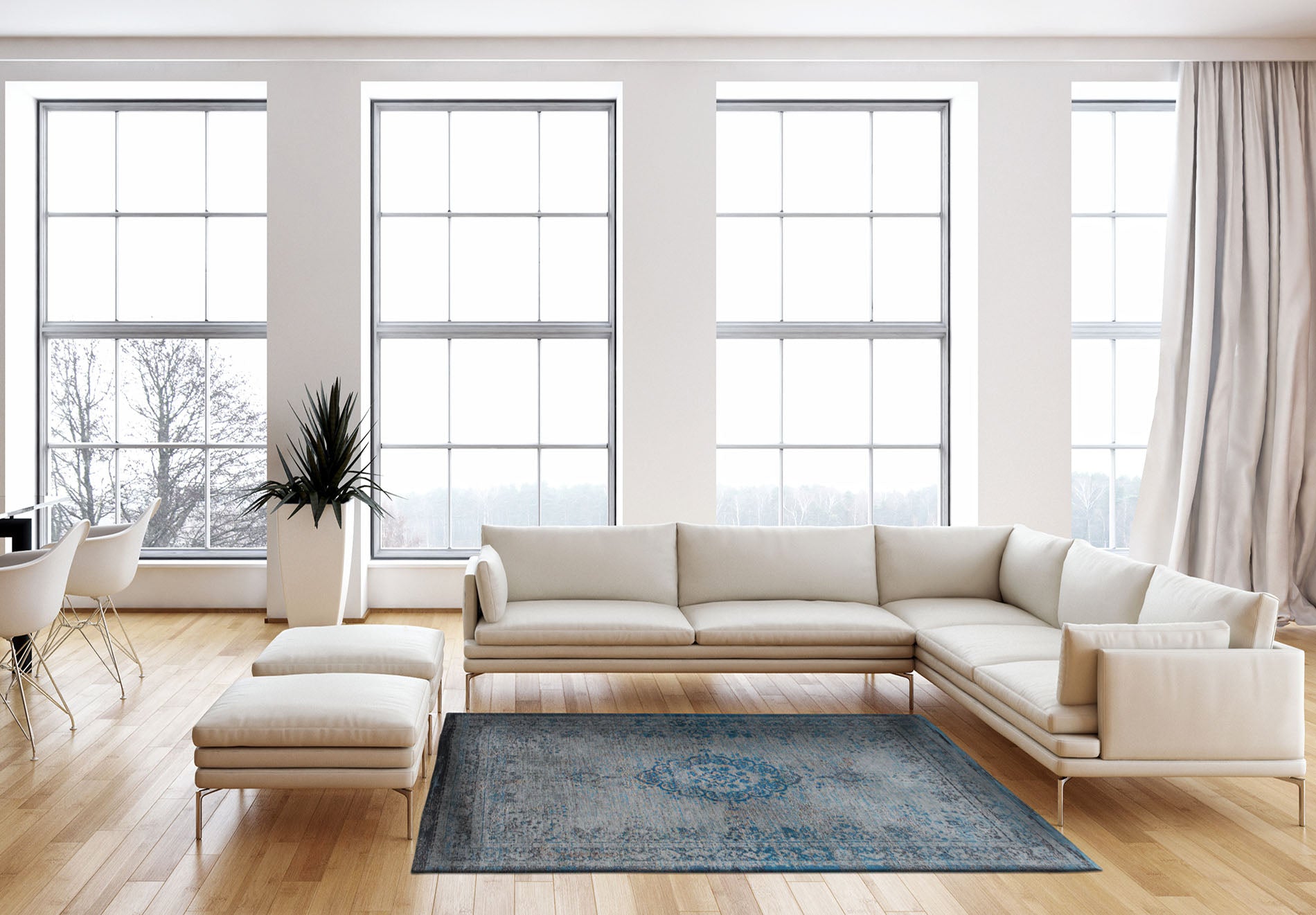 Medallon Gray Turquoise Turquoise-gray rug