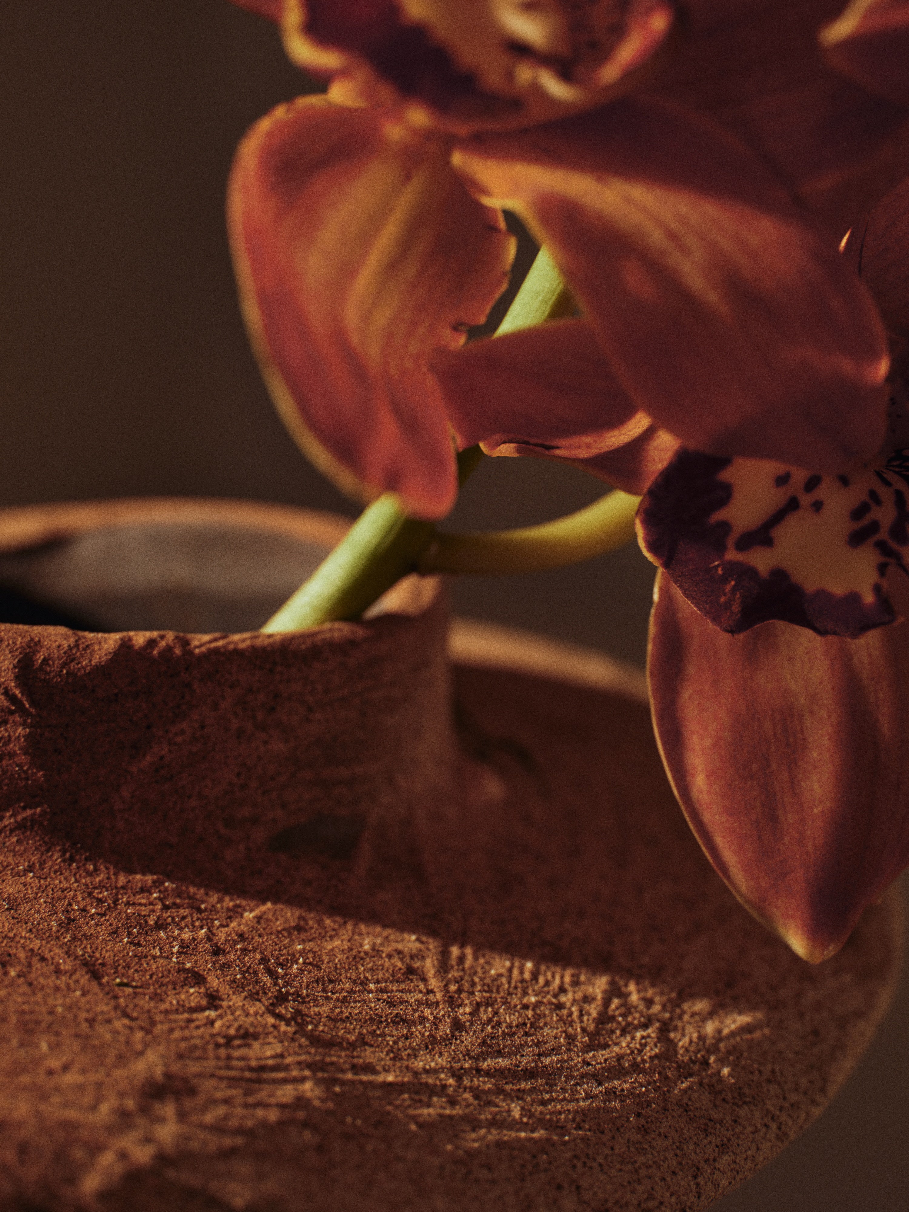 EVIO Ceramic Vase in Warm Beige