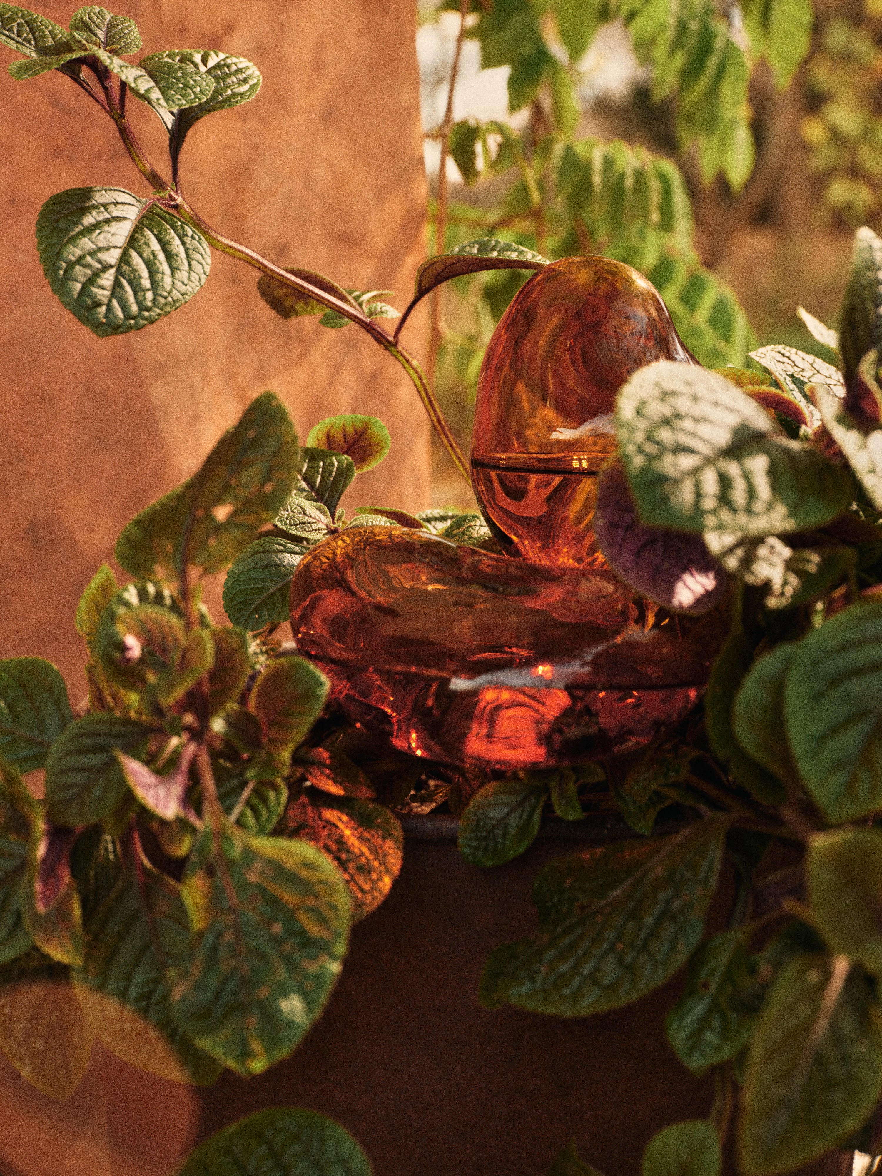 Súprava zavlažovacích guľôčok MERCURY jantárové sklo