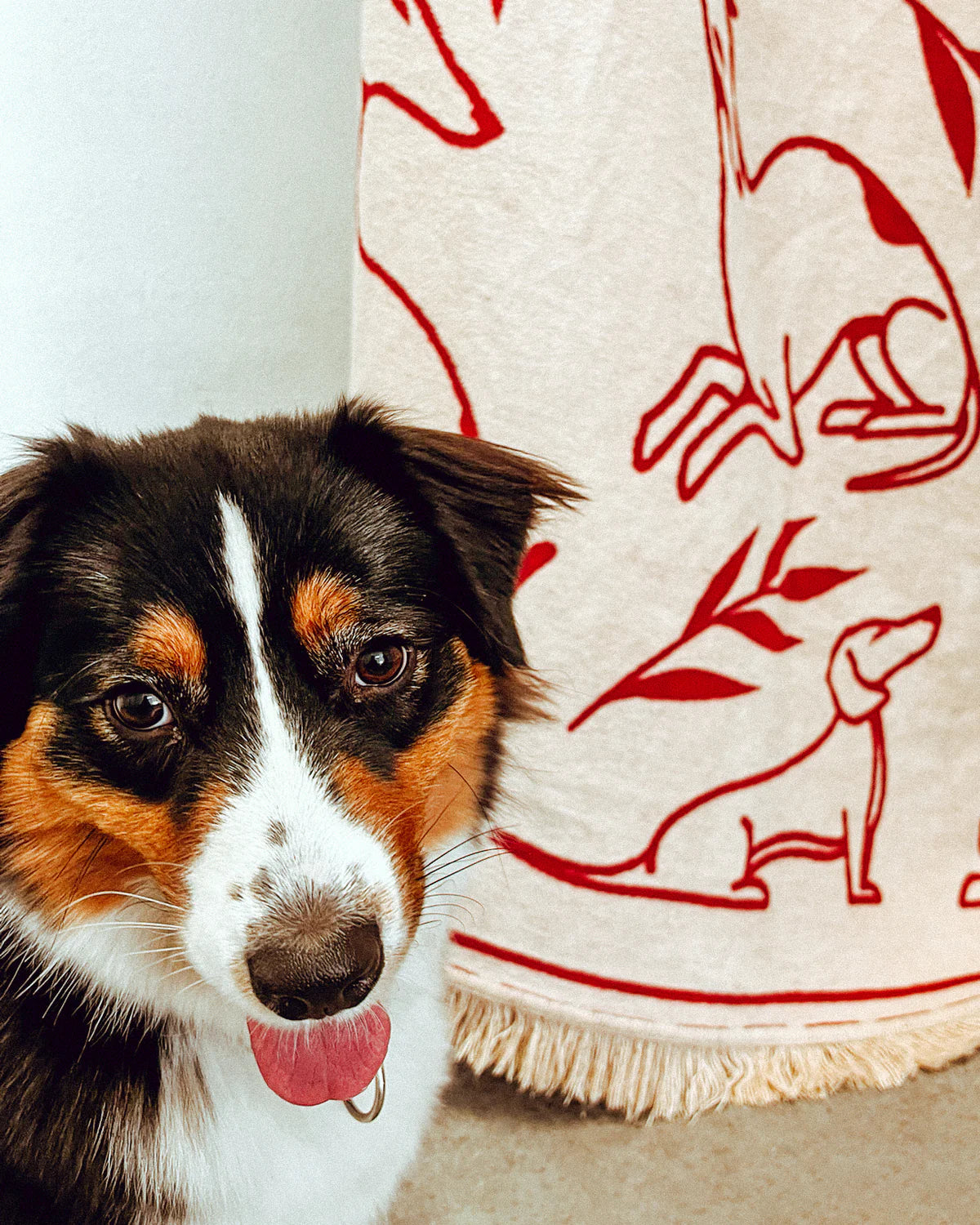 Koc PAWFECT pieskový béžový a bordový