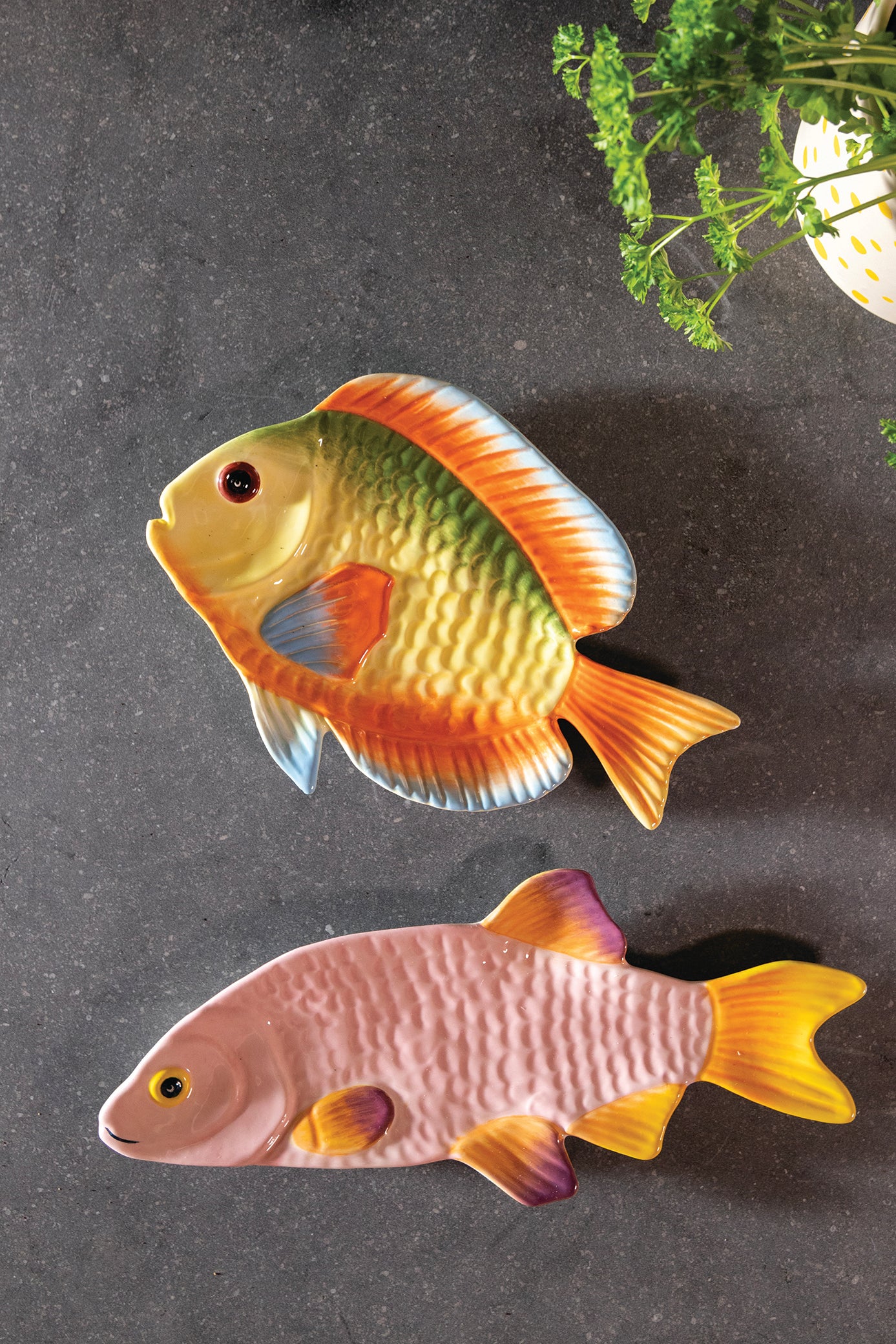 Tanier RYBA SNAPPER ružový so žltým