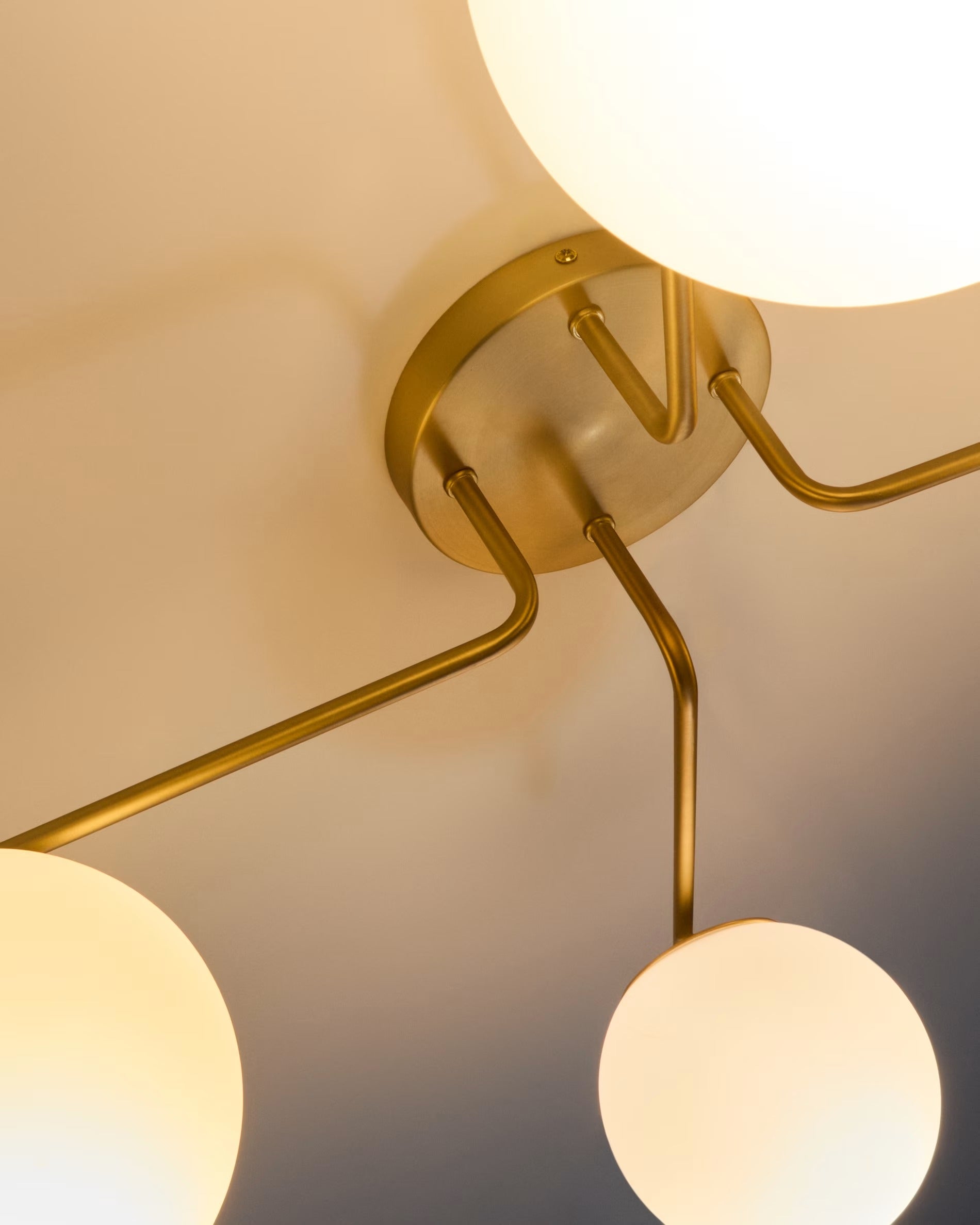Four-point ceiling lamp BRISIA brushed brass