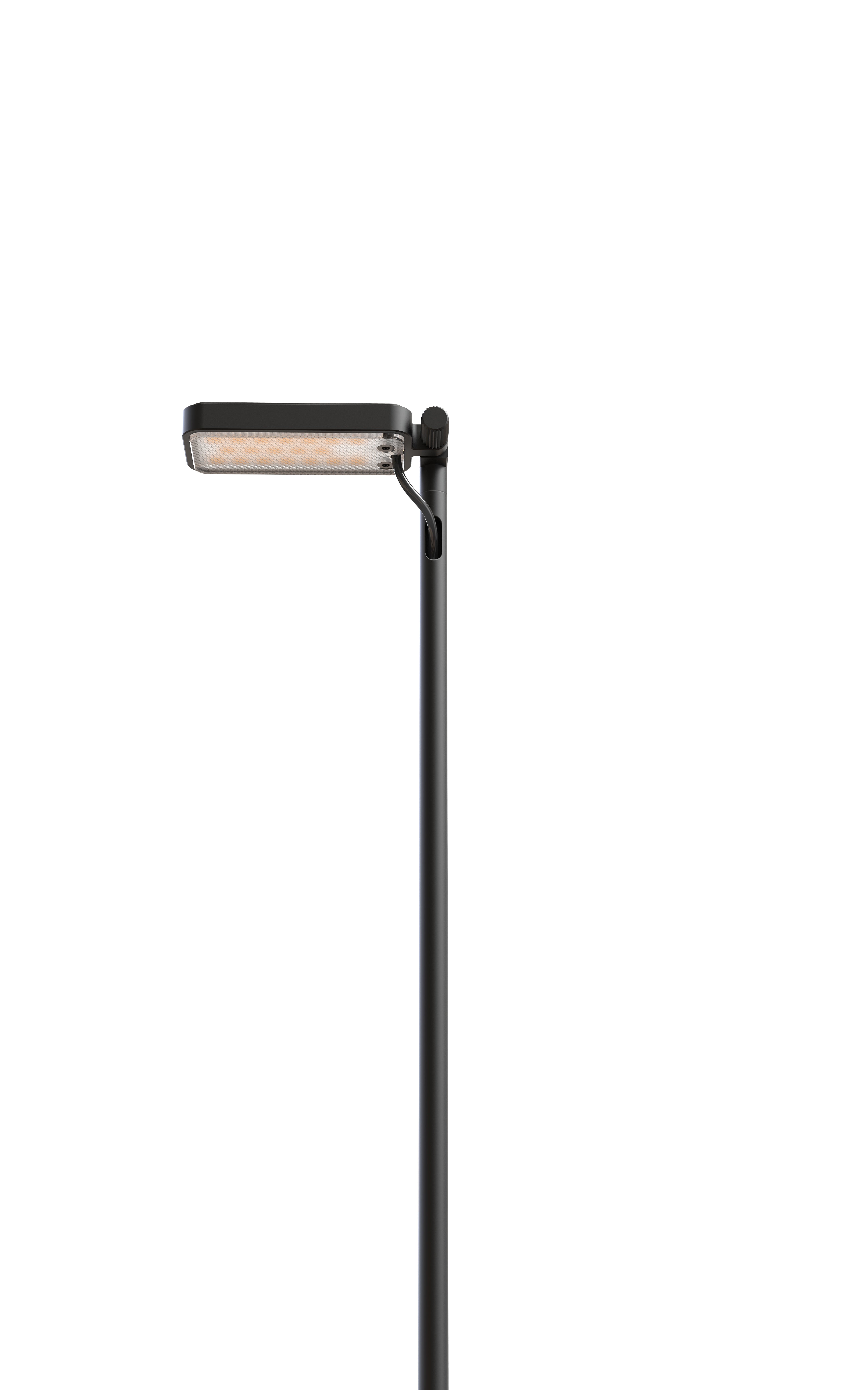 FLIA black multi-arm outdoor floor lamp