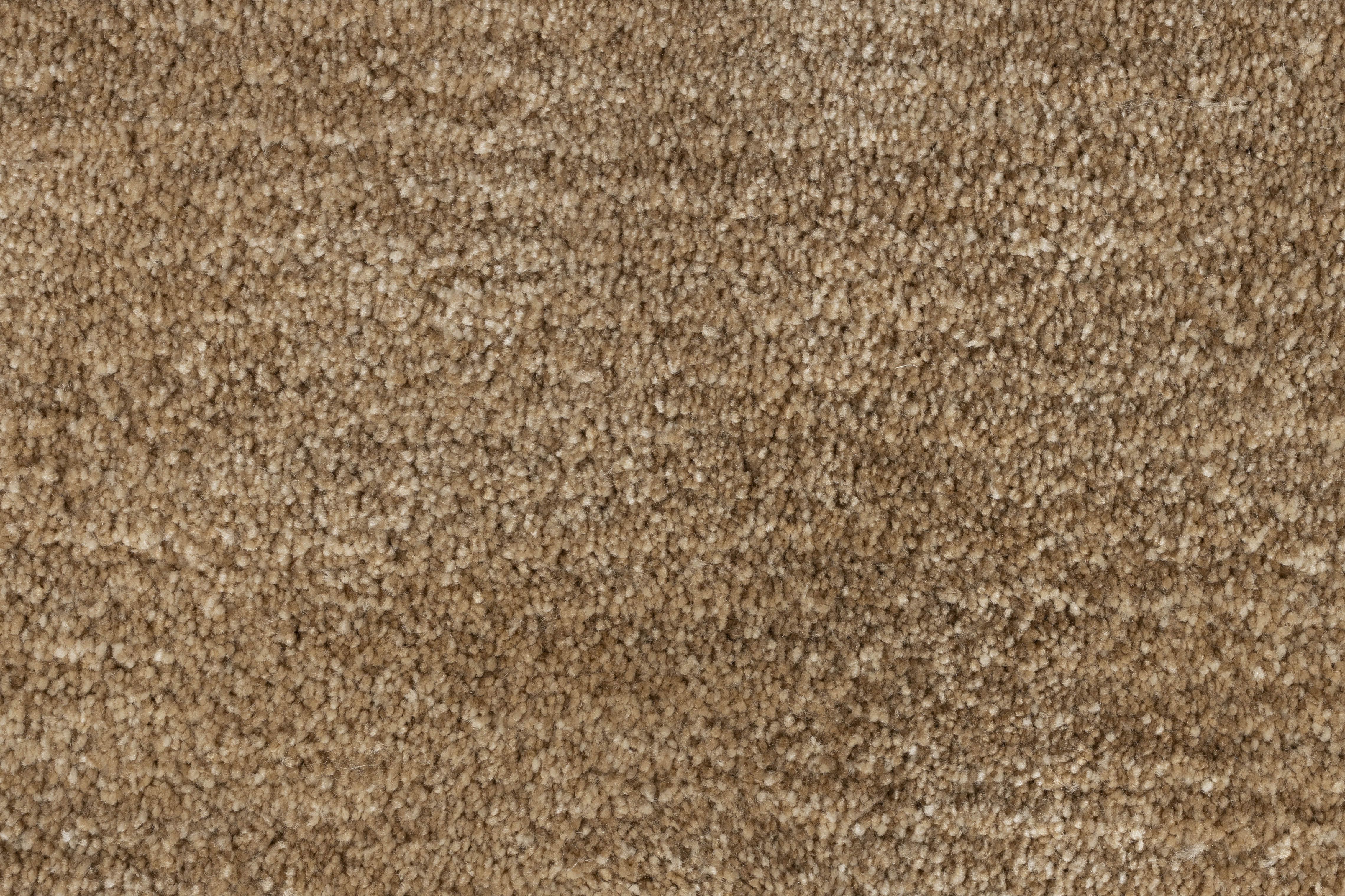 Beige LUWTE Rug