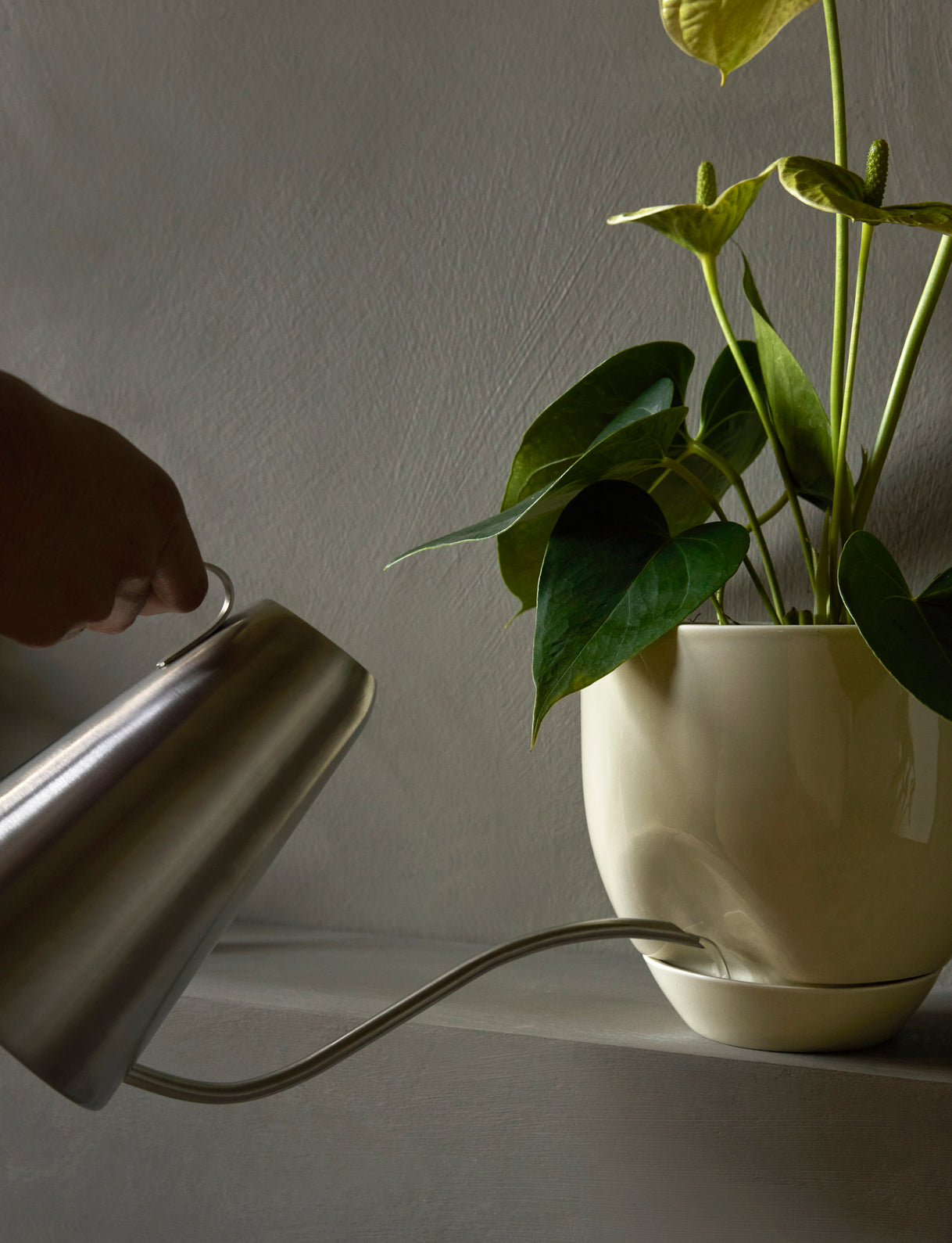 HYDROUS planter beige