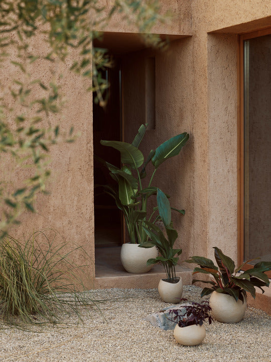 Donica PLANTAS kamionka