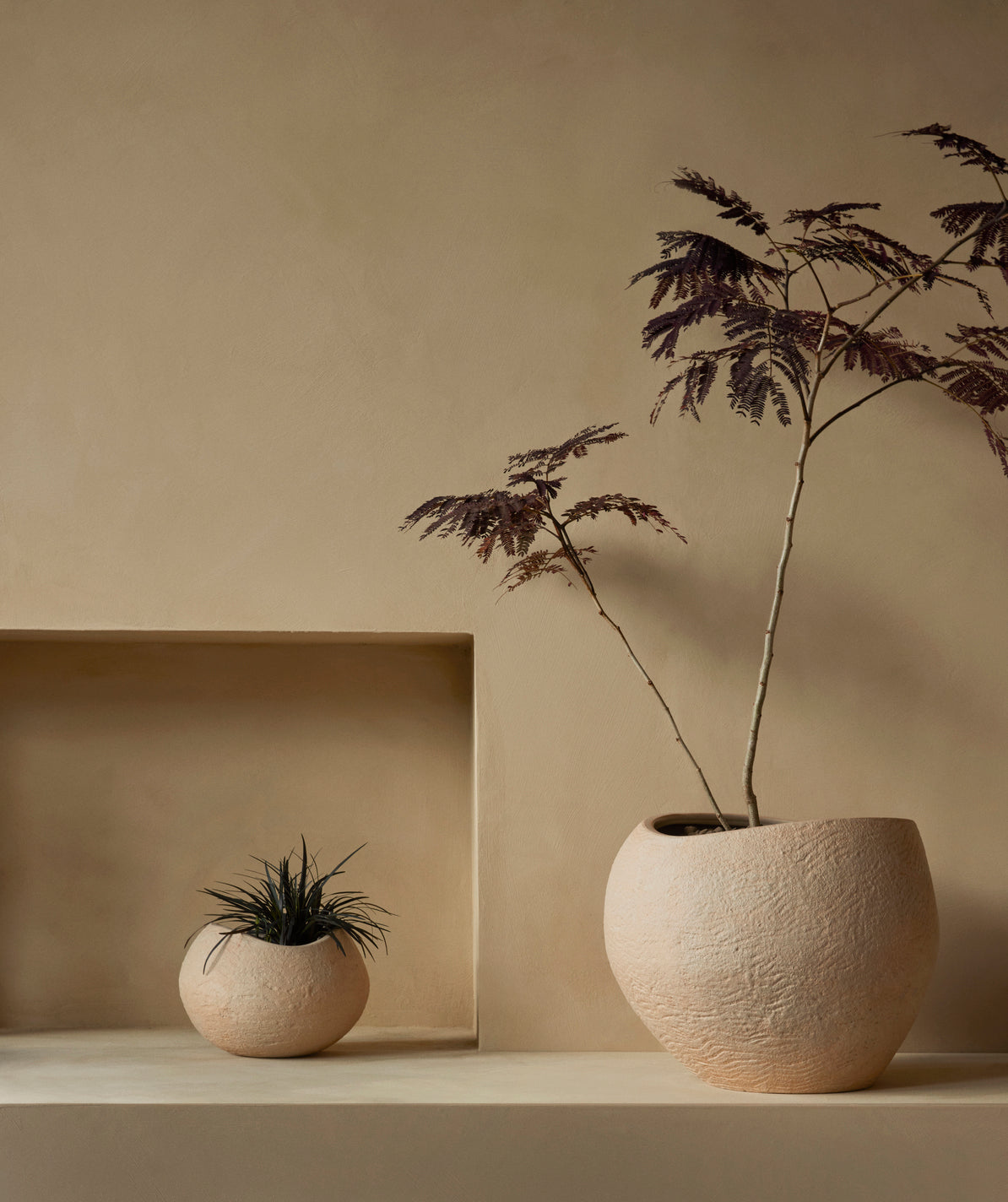 Donica PLANTAS kamionka