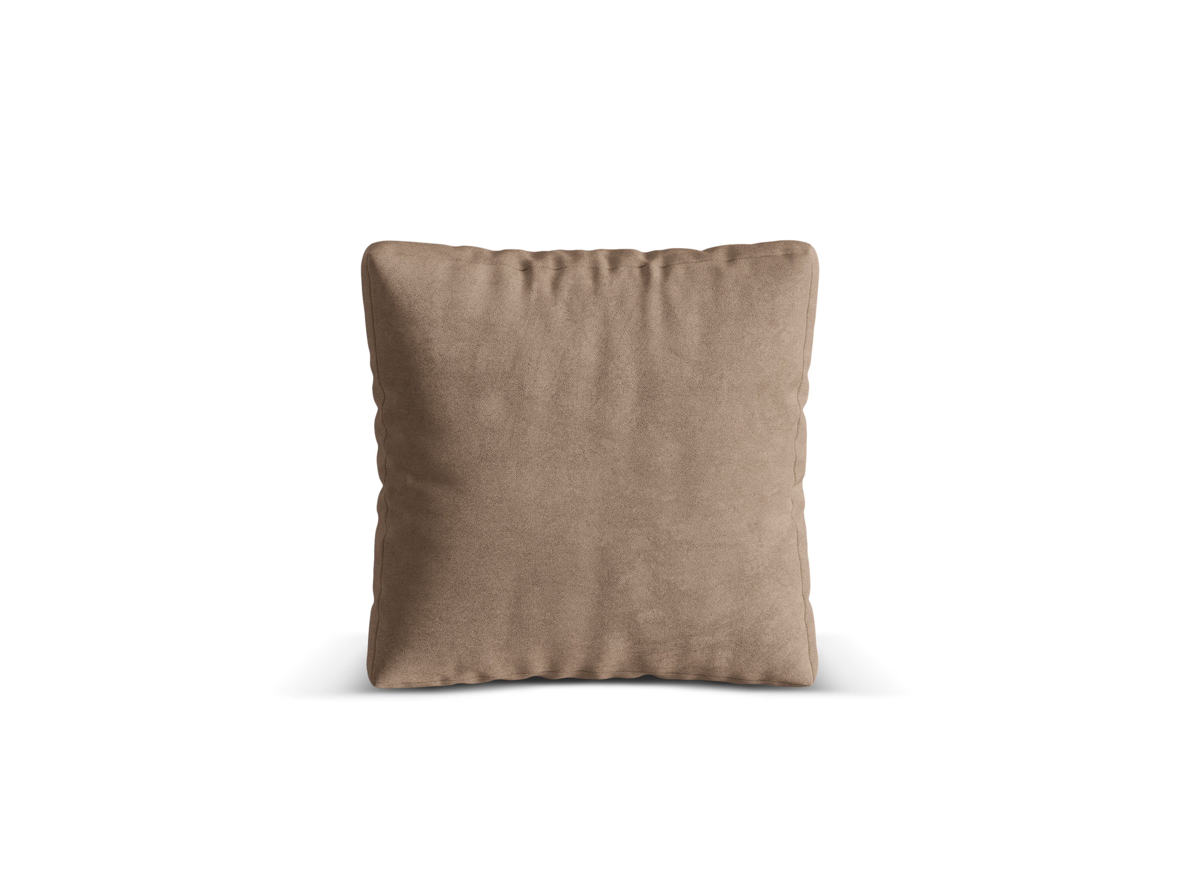 Martin's velvet cushion
