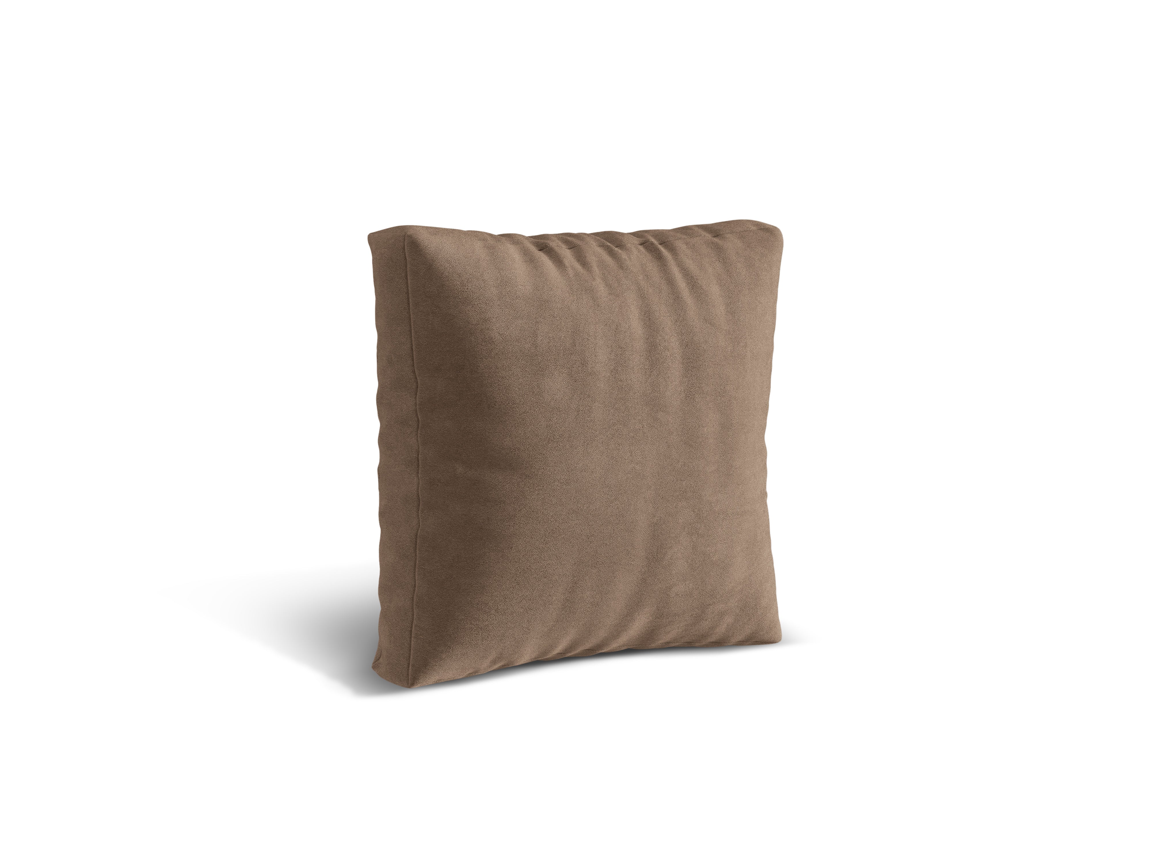 Martin's velvet cushion