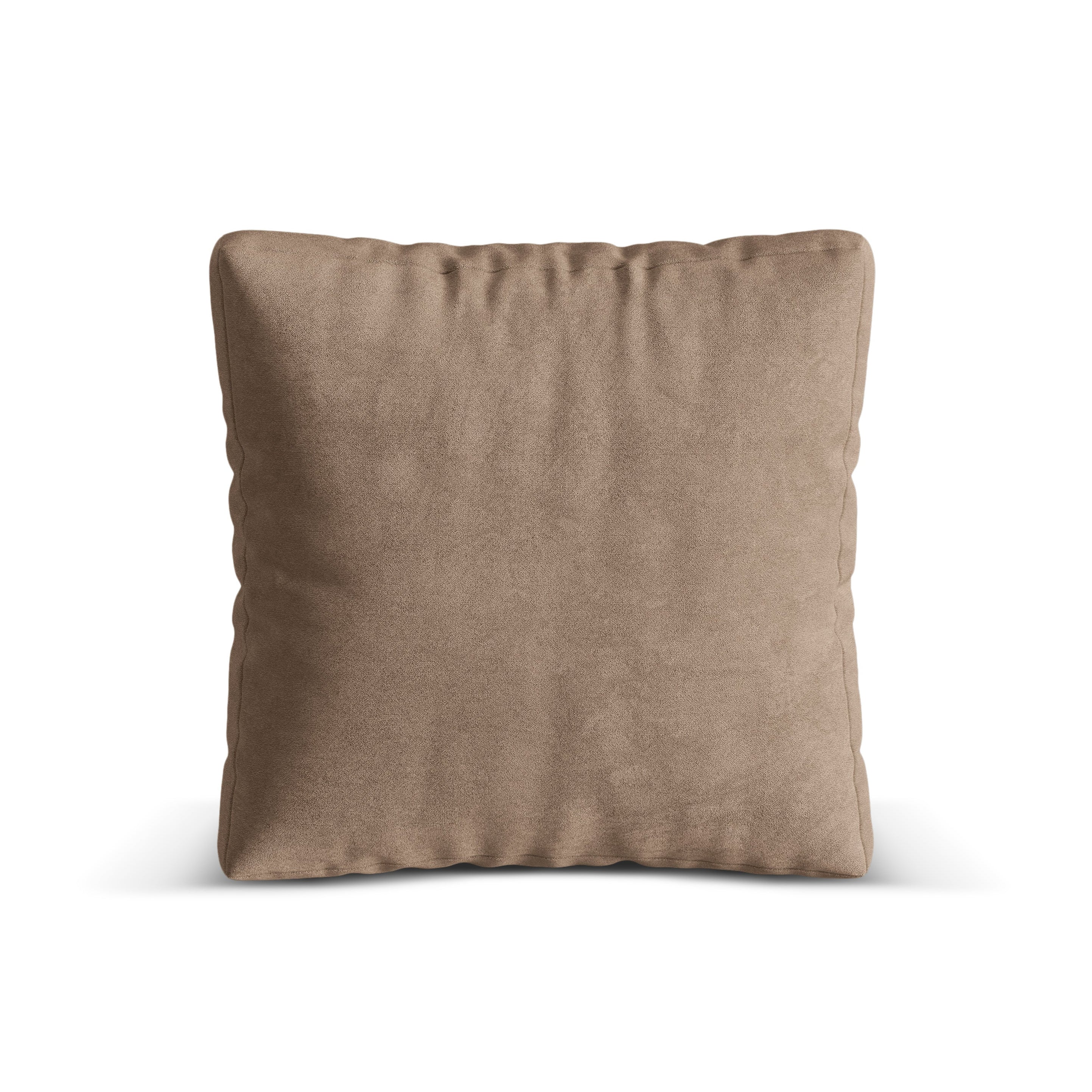Martin's velvet cushion