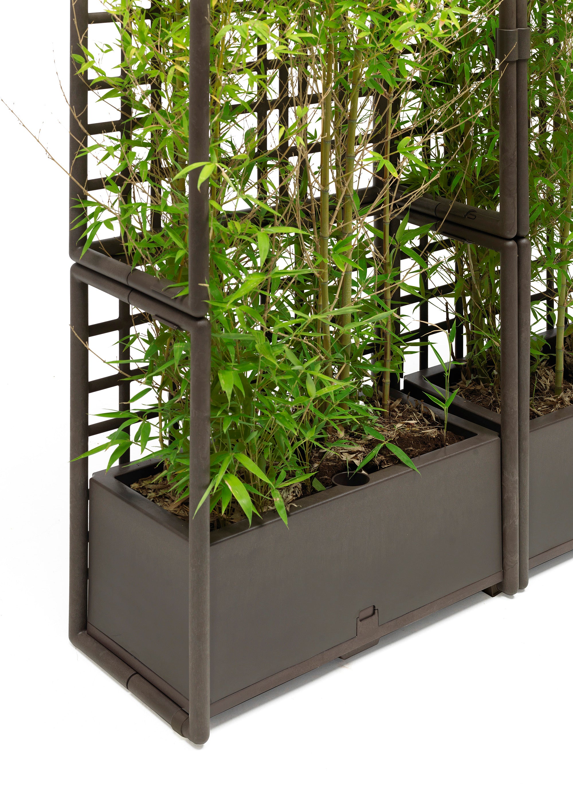Modular outdoor system with SIPARIO planter in graphite