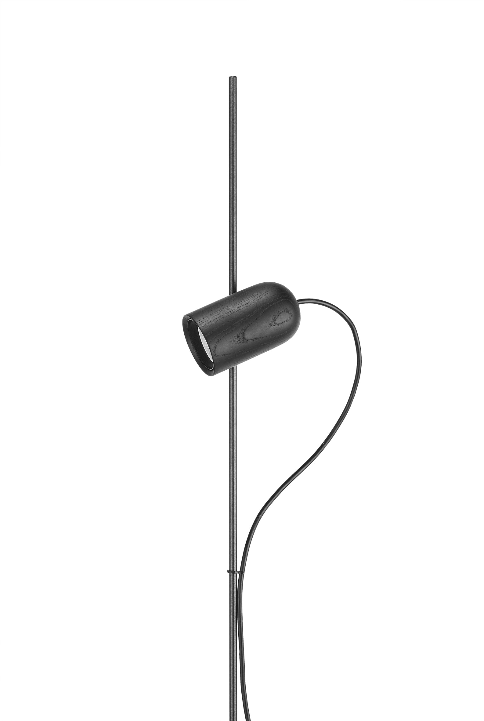 ONFA Floor Lamp in Black Ash Wood with Graphite Finish