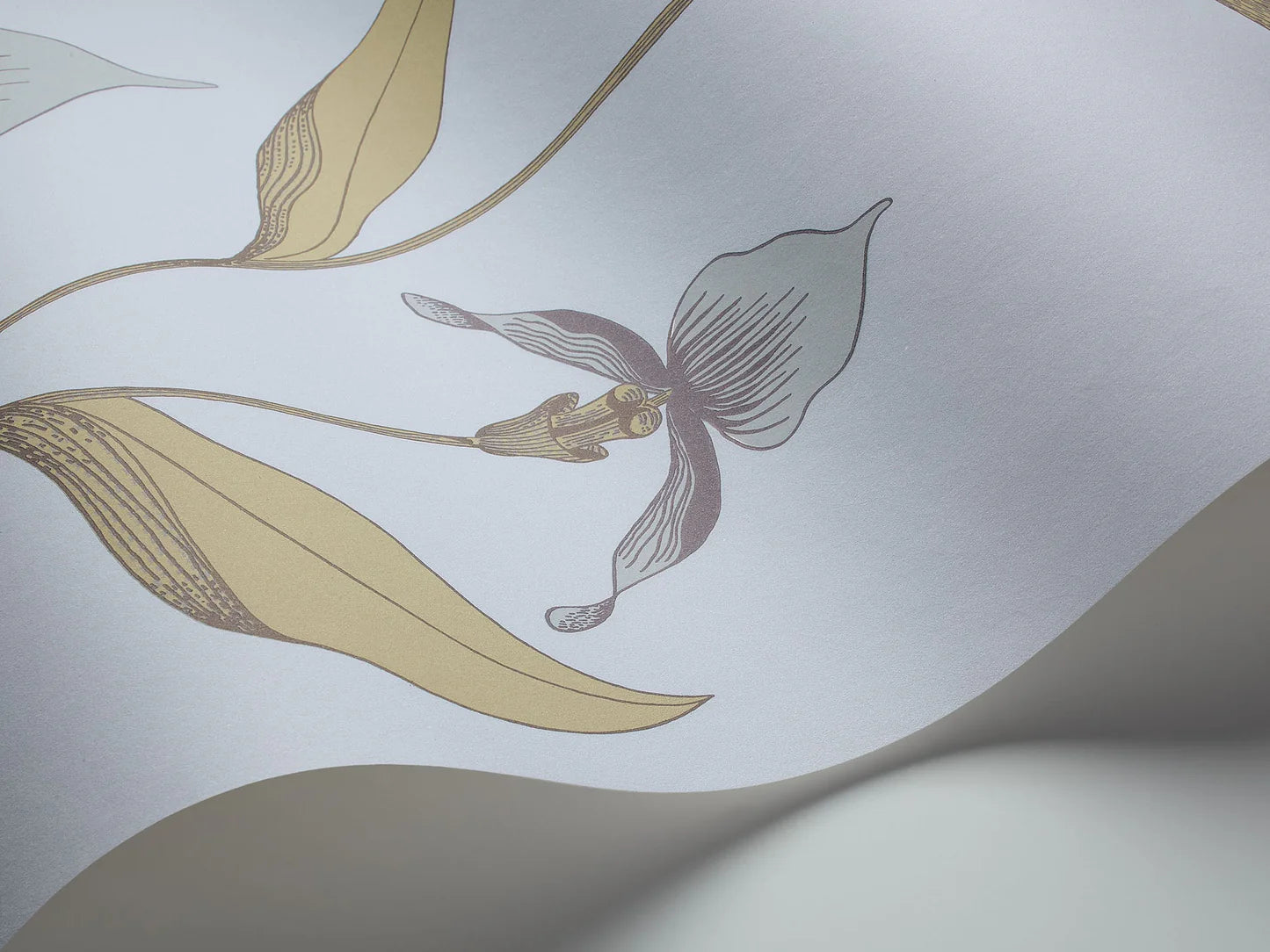 Tapeta s rastlinným motívom kvetov orchideí SOUČASNÁ KOLEKCE - ORCHIDEA pudrová modrá s olivovou