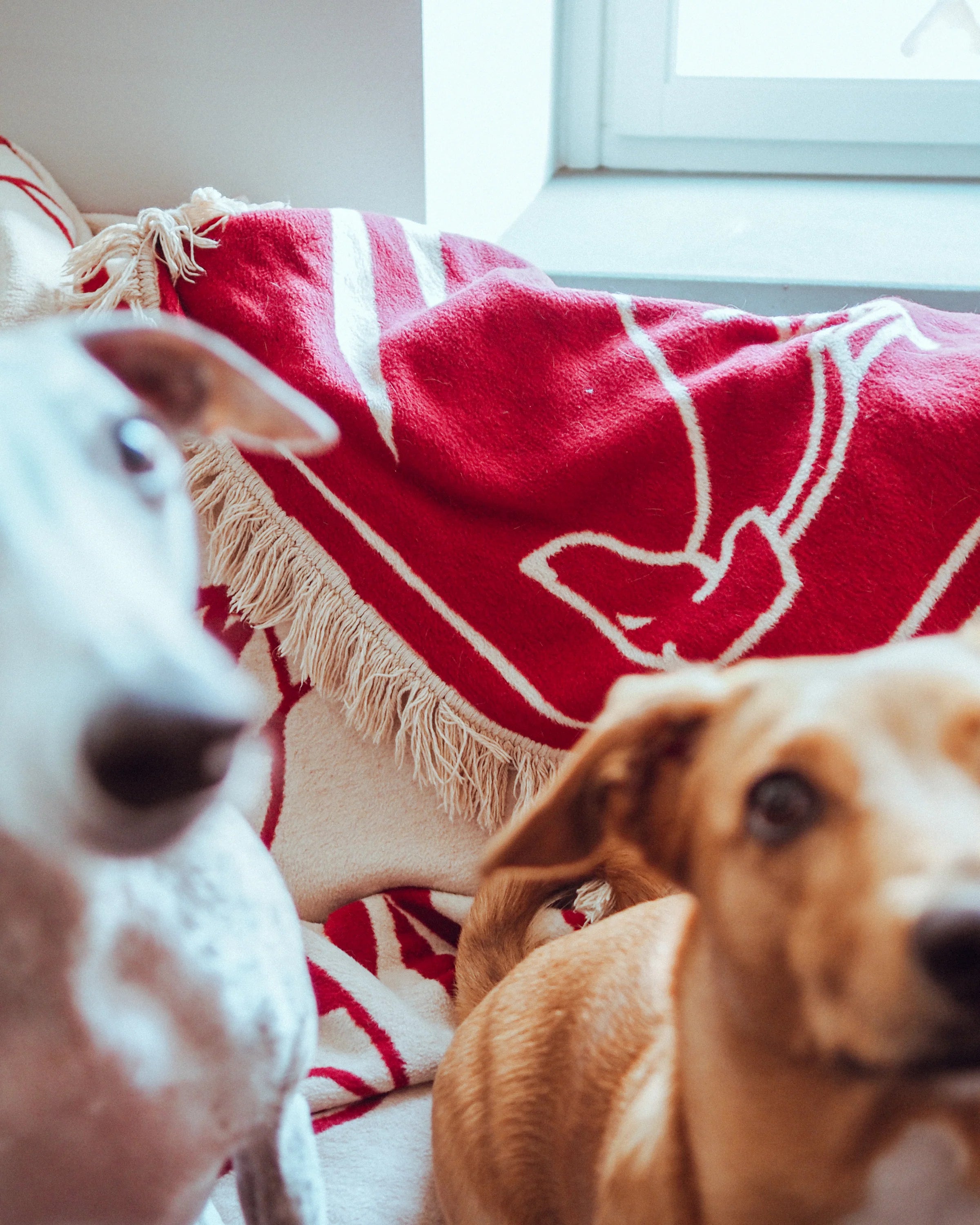 Koc PAWFECT pieskový béžový a bordový
