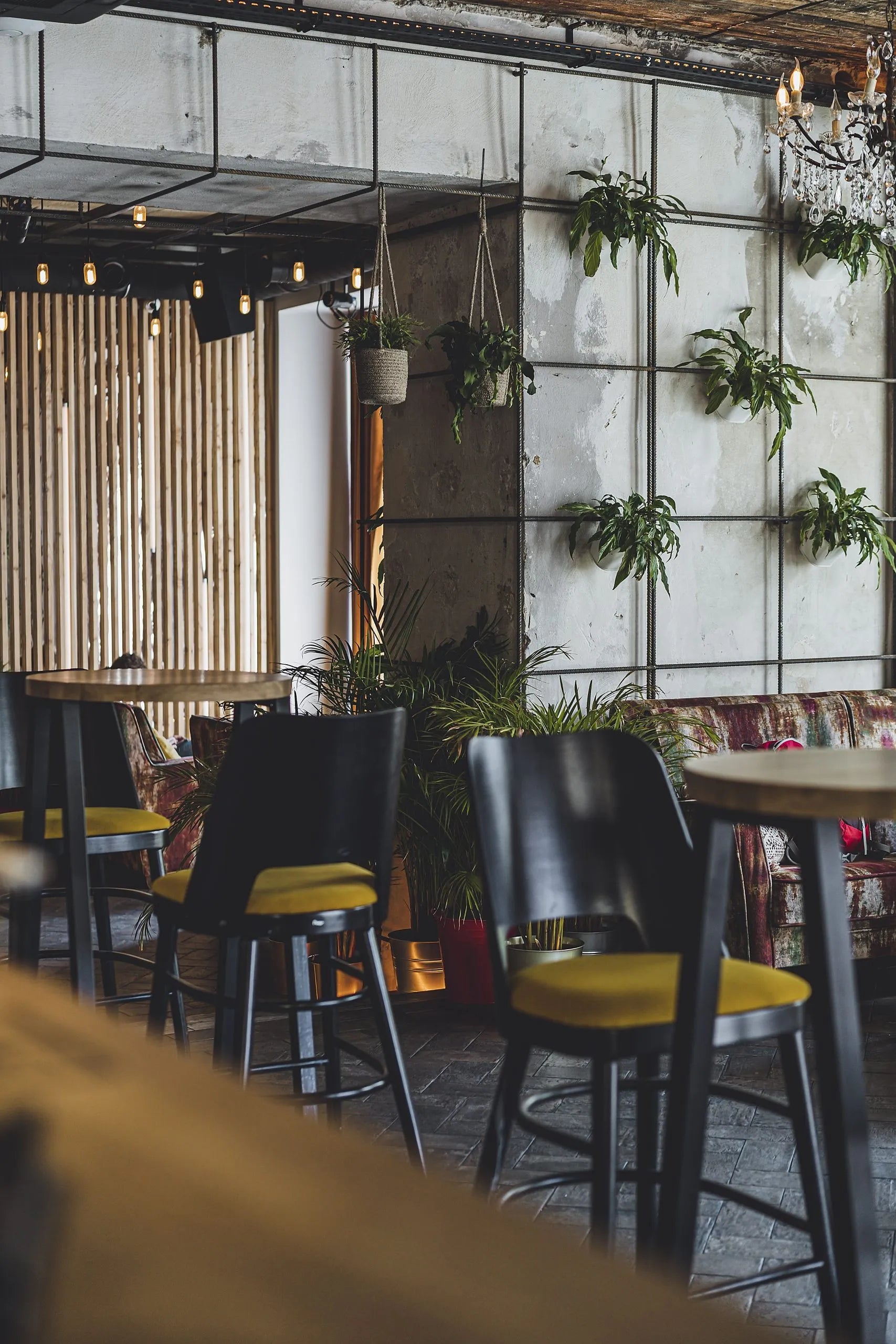 HOKER SHELL A-0043 beech wood