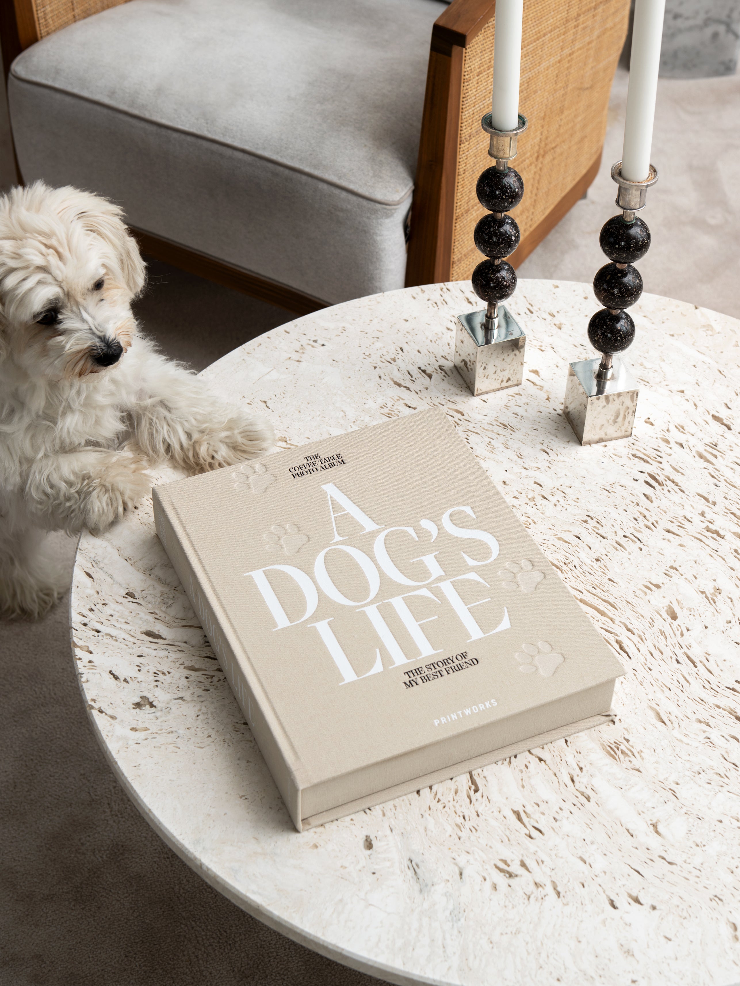 Album na fotografie A DOG'S LIFE béžový