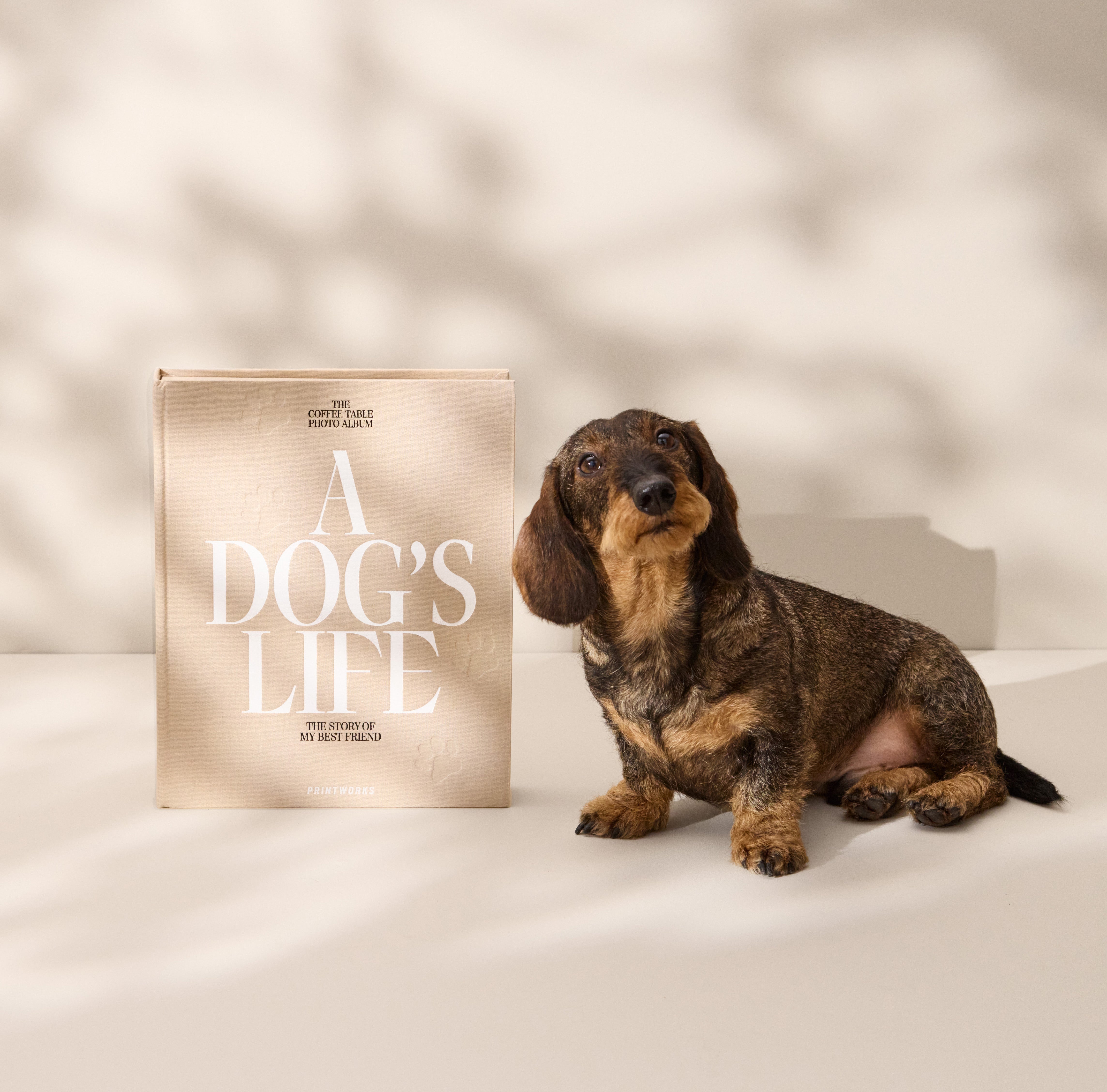 Album na fotografie A DOG'S LIFE béžový