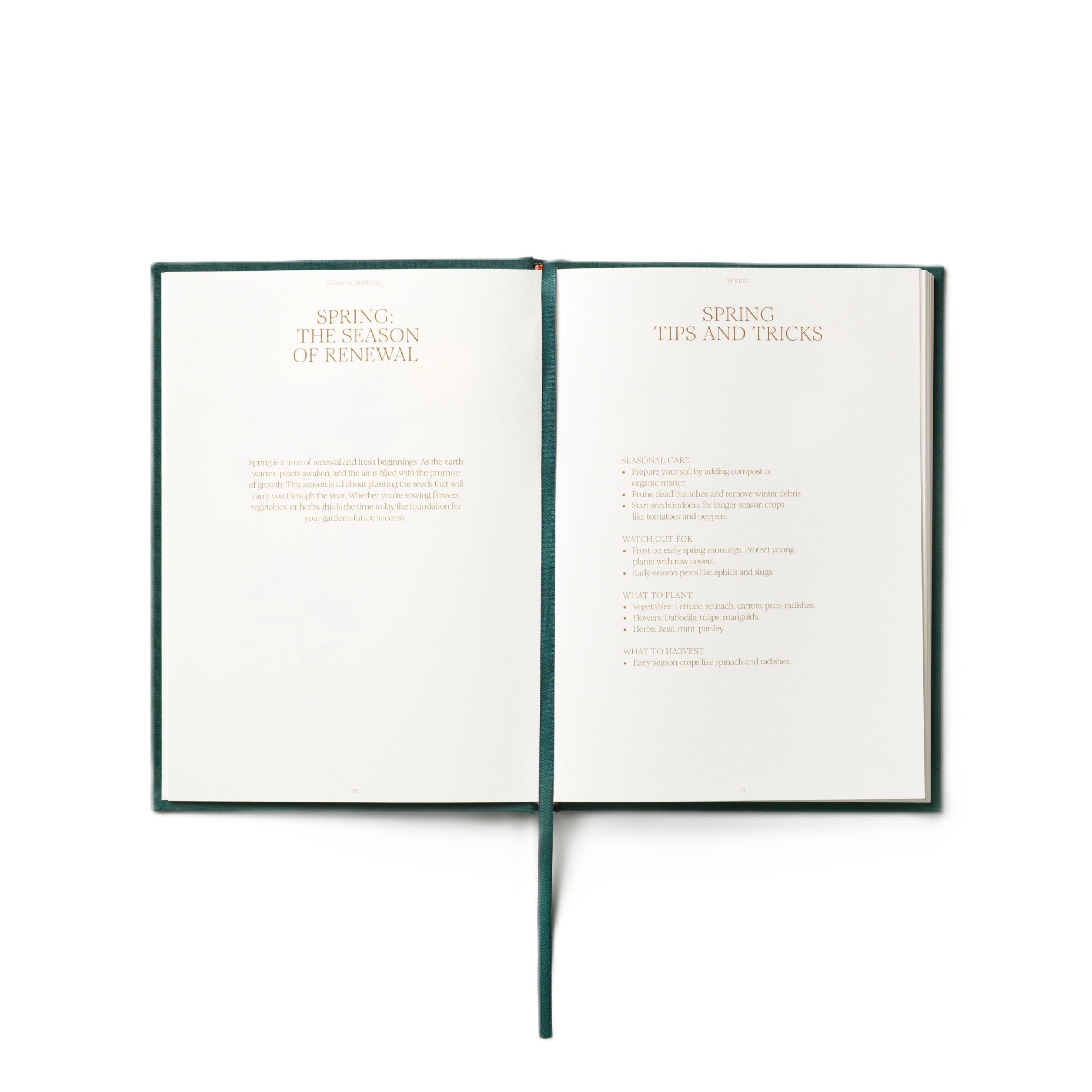 The Secret Garden Beige with Green Garden Journal