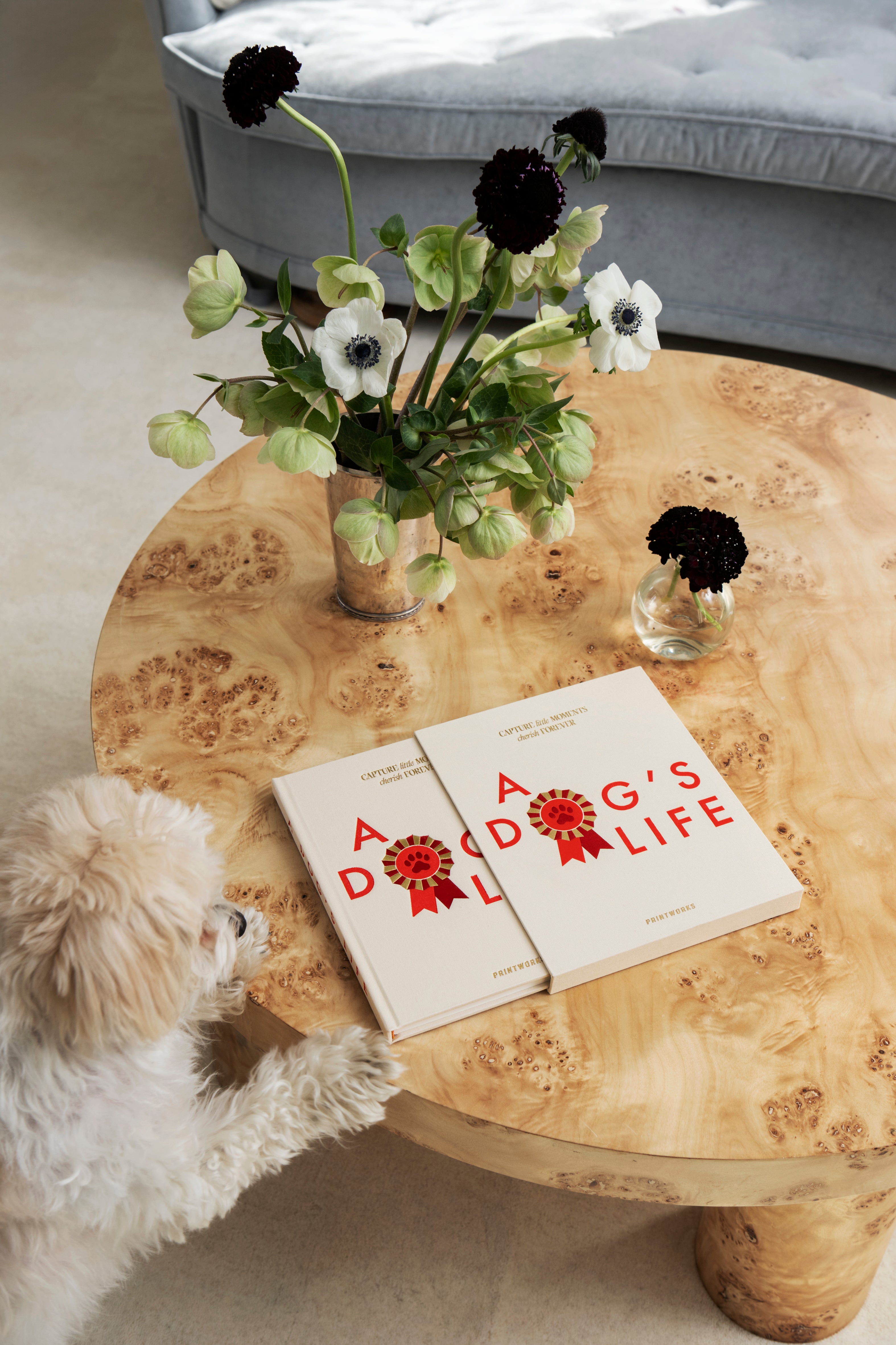 Diary A DOG'S LIFE beige with red