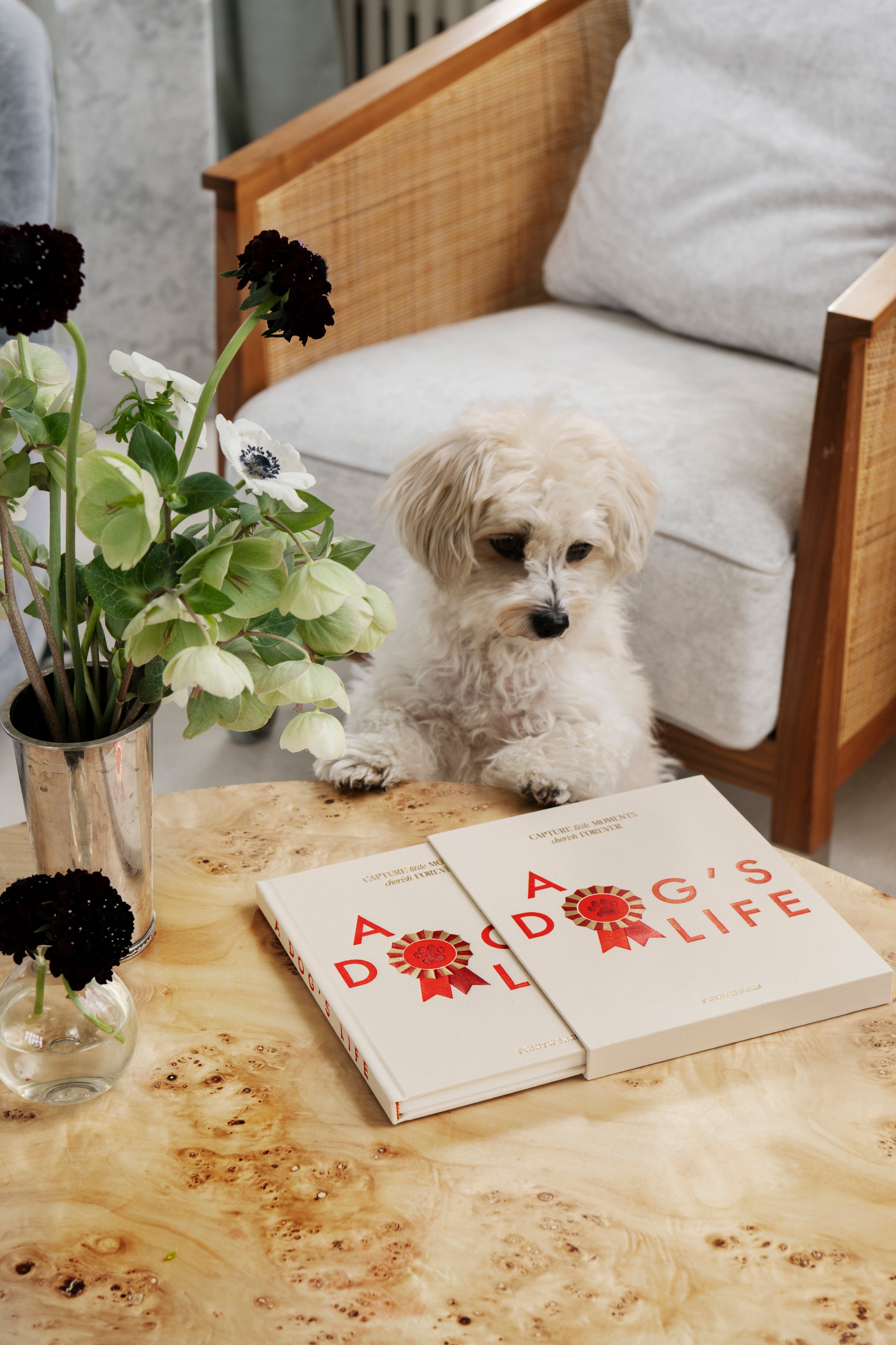 Diary A DOG'S LIFE beige with red