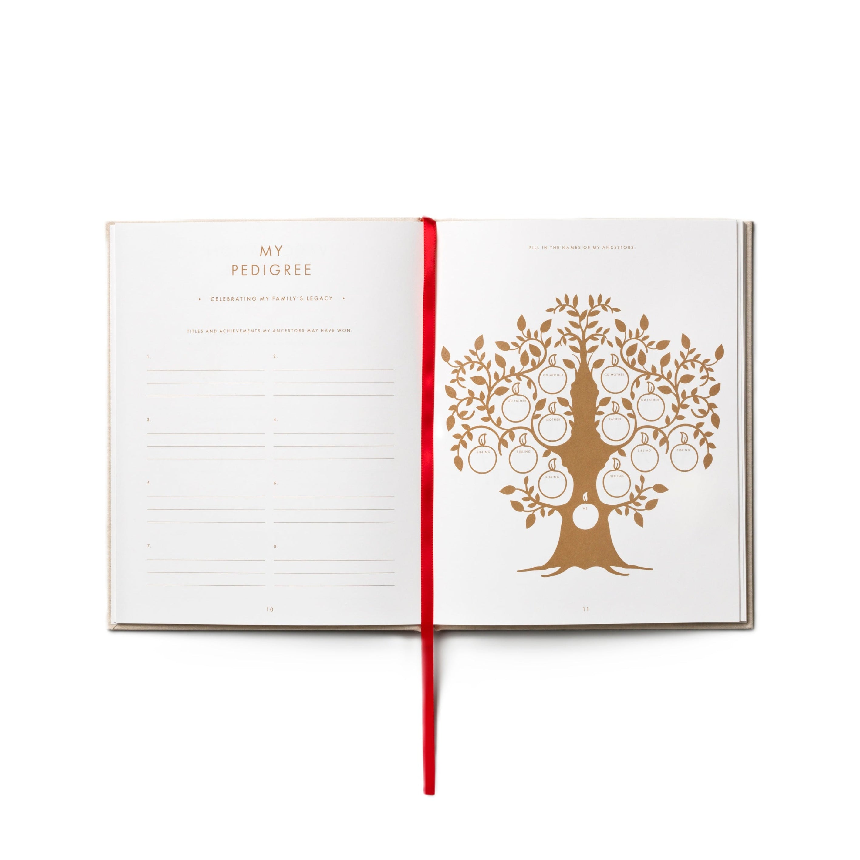 Diary A DOG'S LIFE beige with red