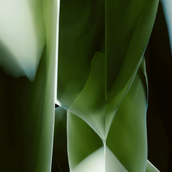 Koberec STUDIO NUCLEO zelený