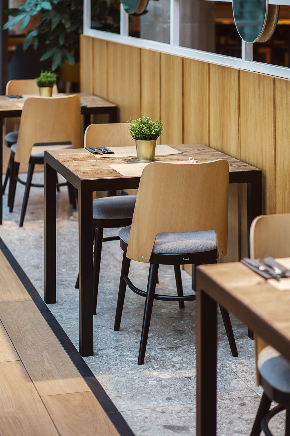 Stolička SHELL A-0043 bukové drevo