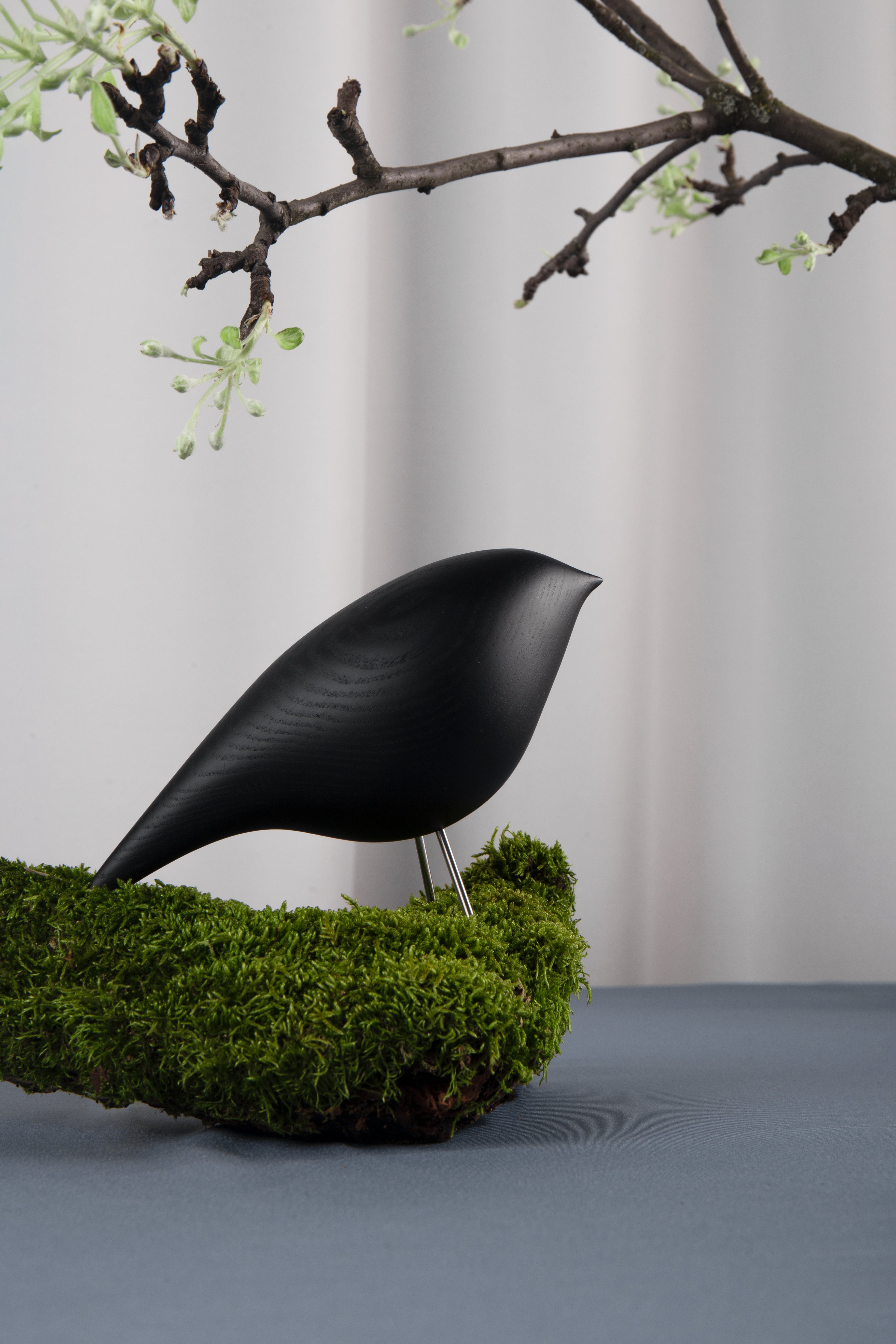 Dekoračná figúrka TWEETY DECORATÍVNY VTÁK čierny jaseň