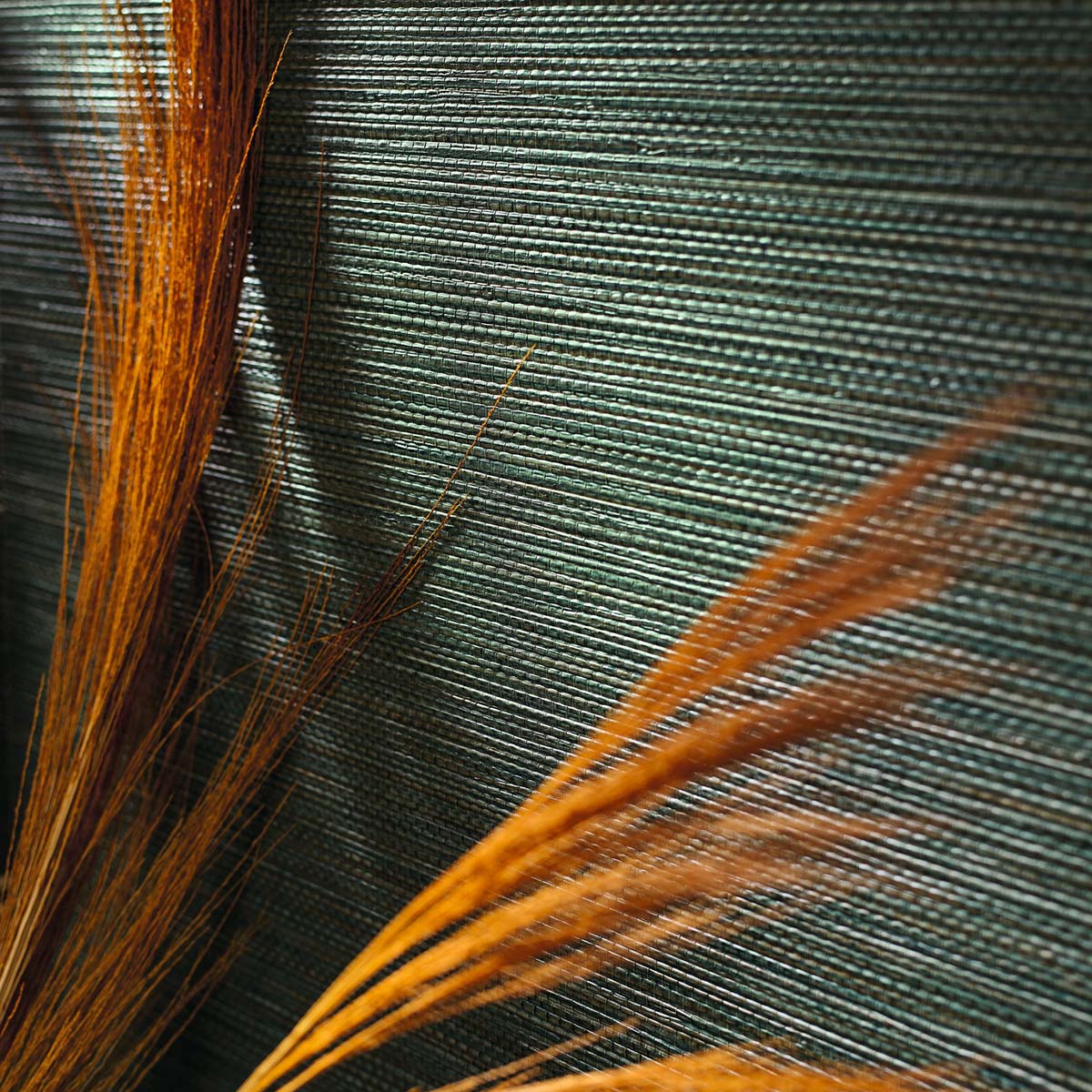 Structural wallpaper imitating seagrass fibers ZOSTERA - TERRE DE SIENNE orange