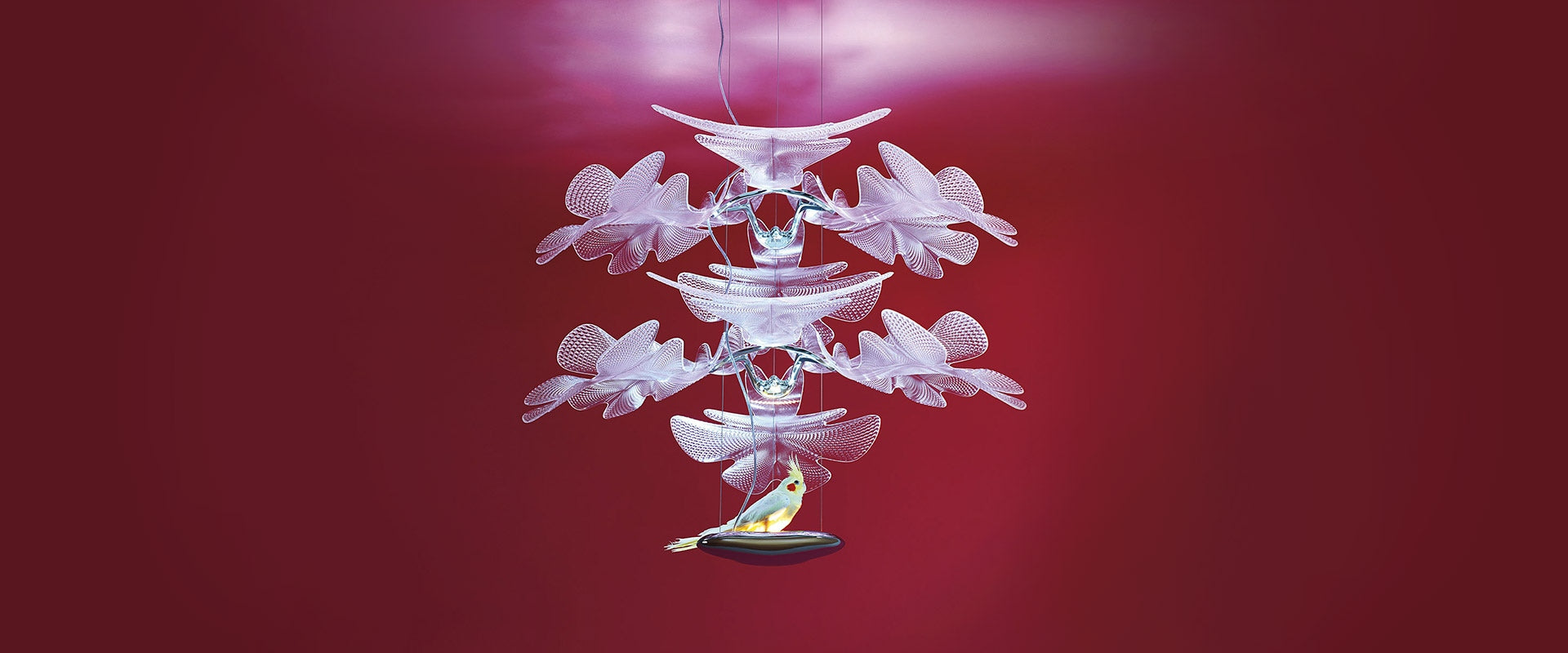 Závesná lampa CHLOROPILIA 2 chróm