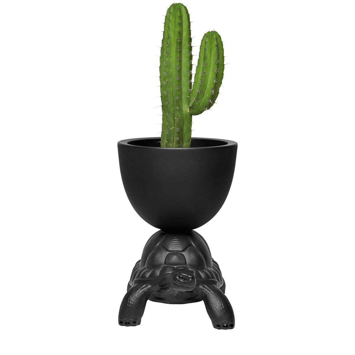 Doniczka TURTLE CARRY czarny Qeeboo    Eye on Design