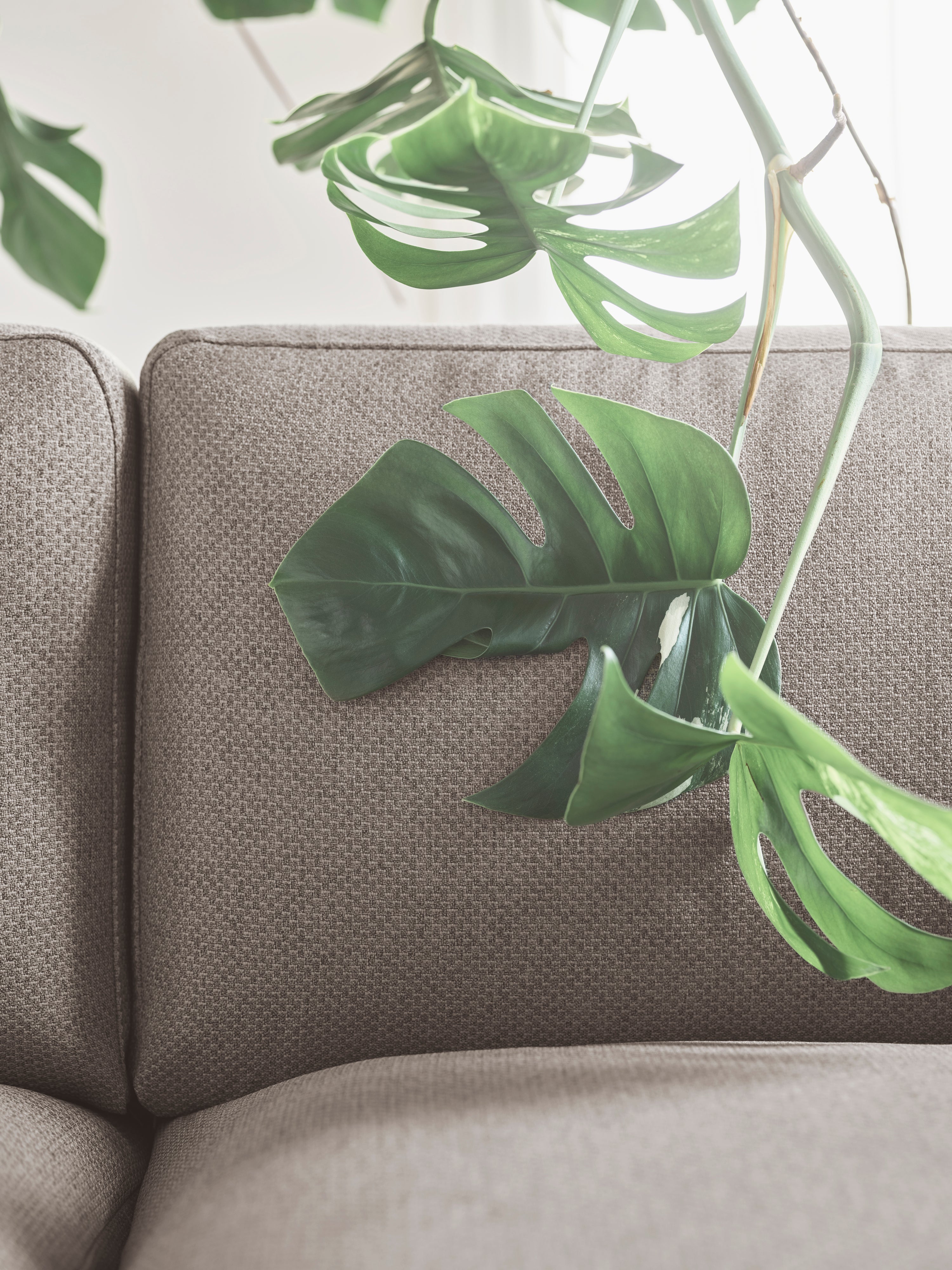 Sofa pre 2 osoby ELTON s podstavou z dubového dreva