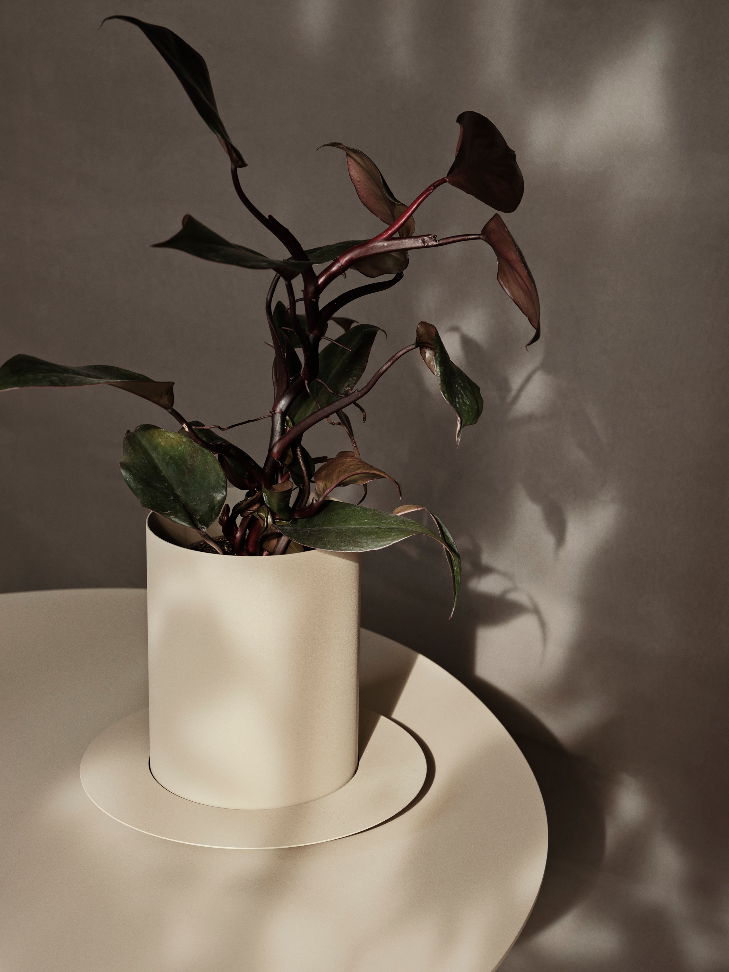 AURAN beige pot