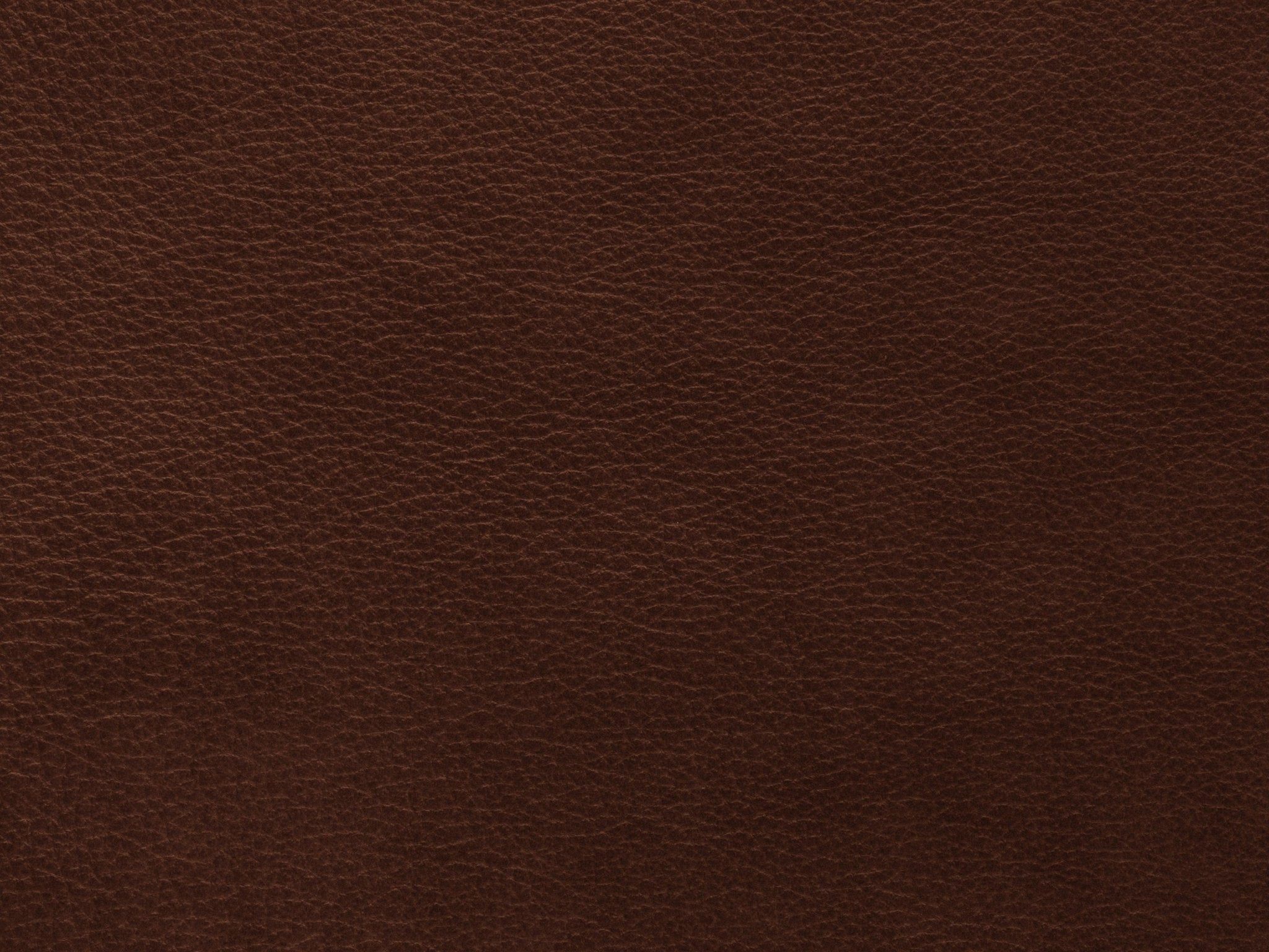 Fotel skórzany MONI czekoladowy Maison Heritage    Eye on Design