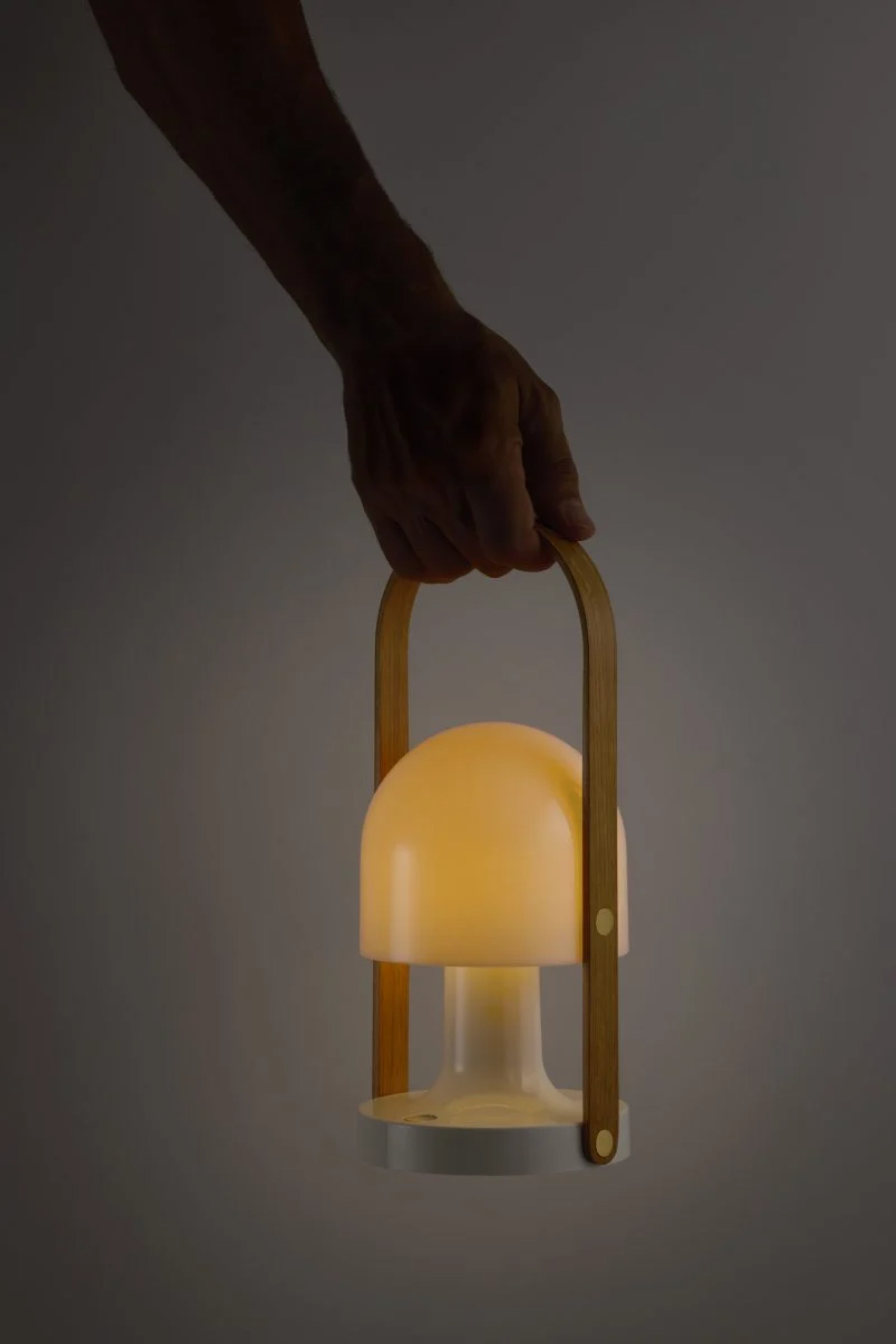 Prenosná lampa FOLLOWME biela s hnedou