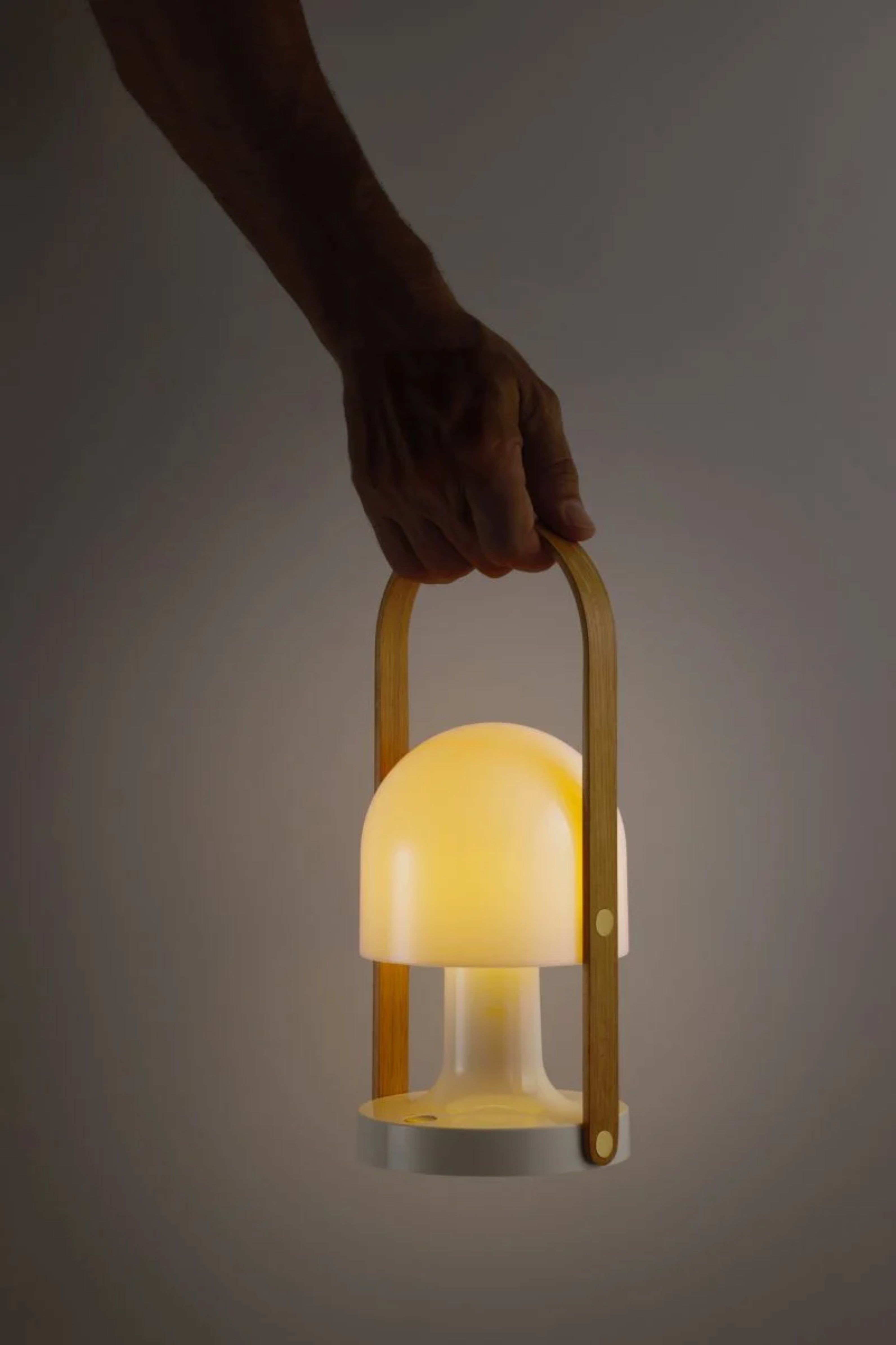 Prenosná lampa FOLLOWME biela s hnedou
