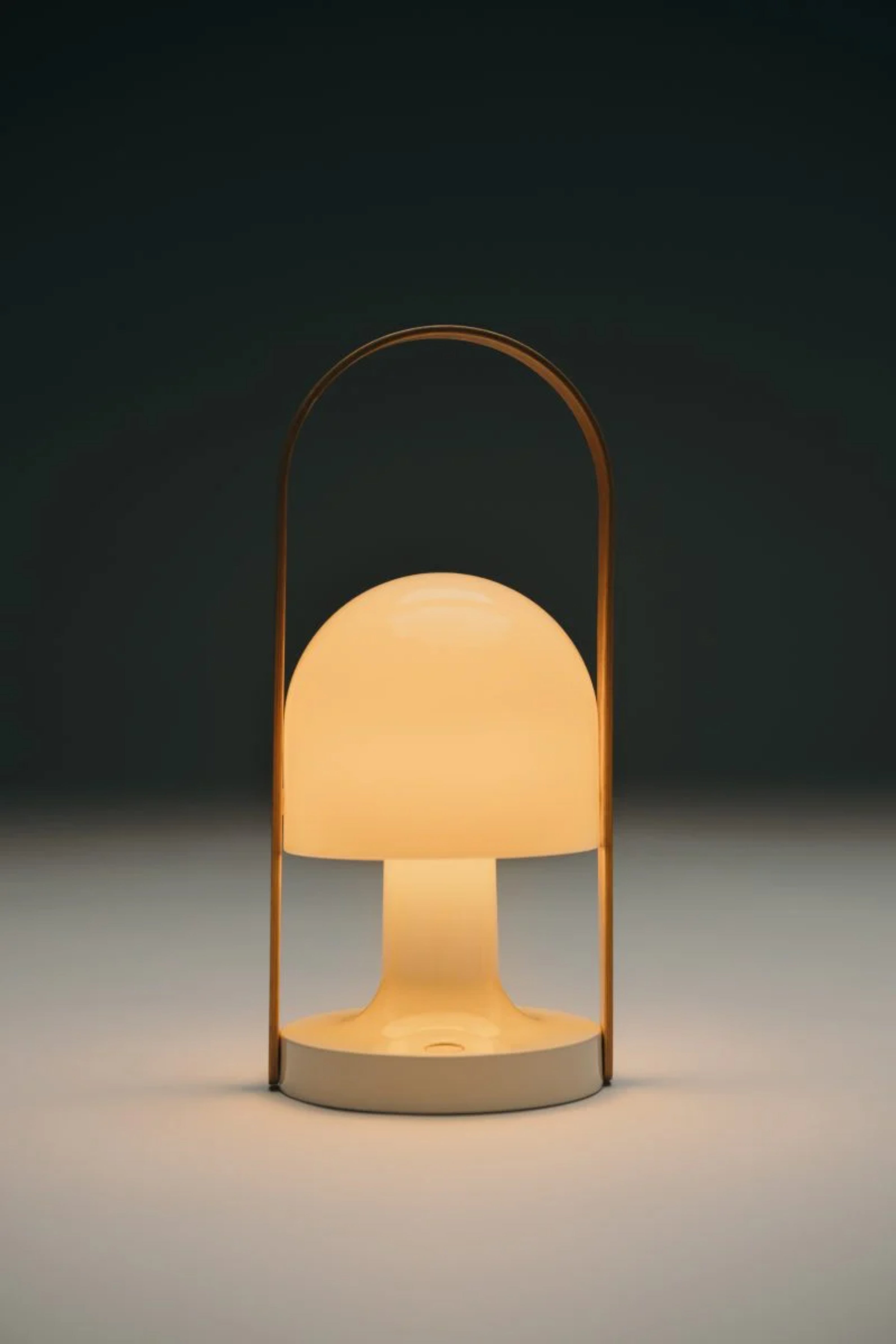 Prenosná lampa FOLLOWME biela s hnedou