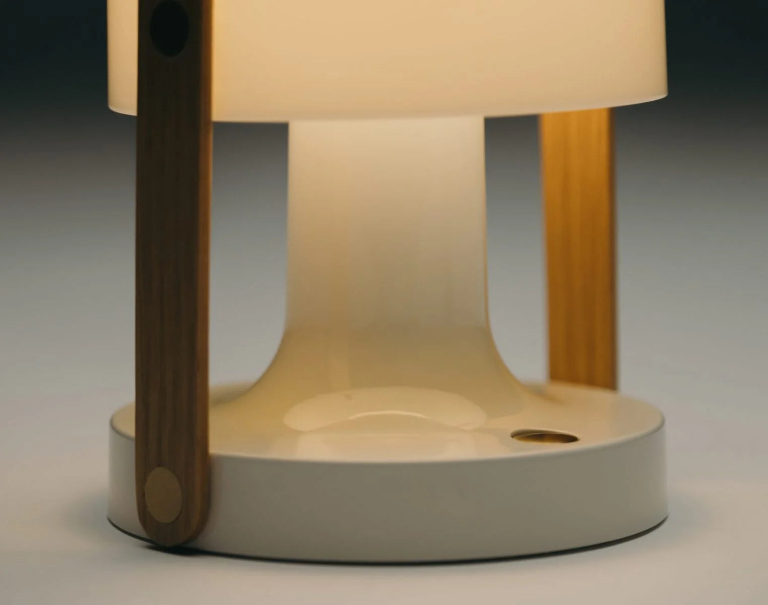 Prenosná lampa FOLLOWME biela s hnedou