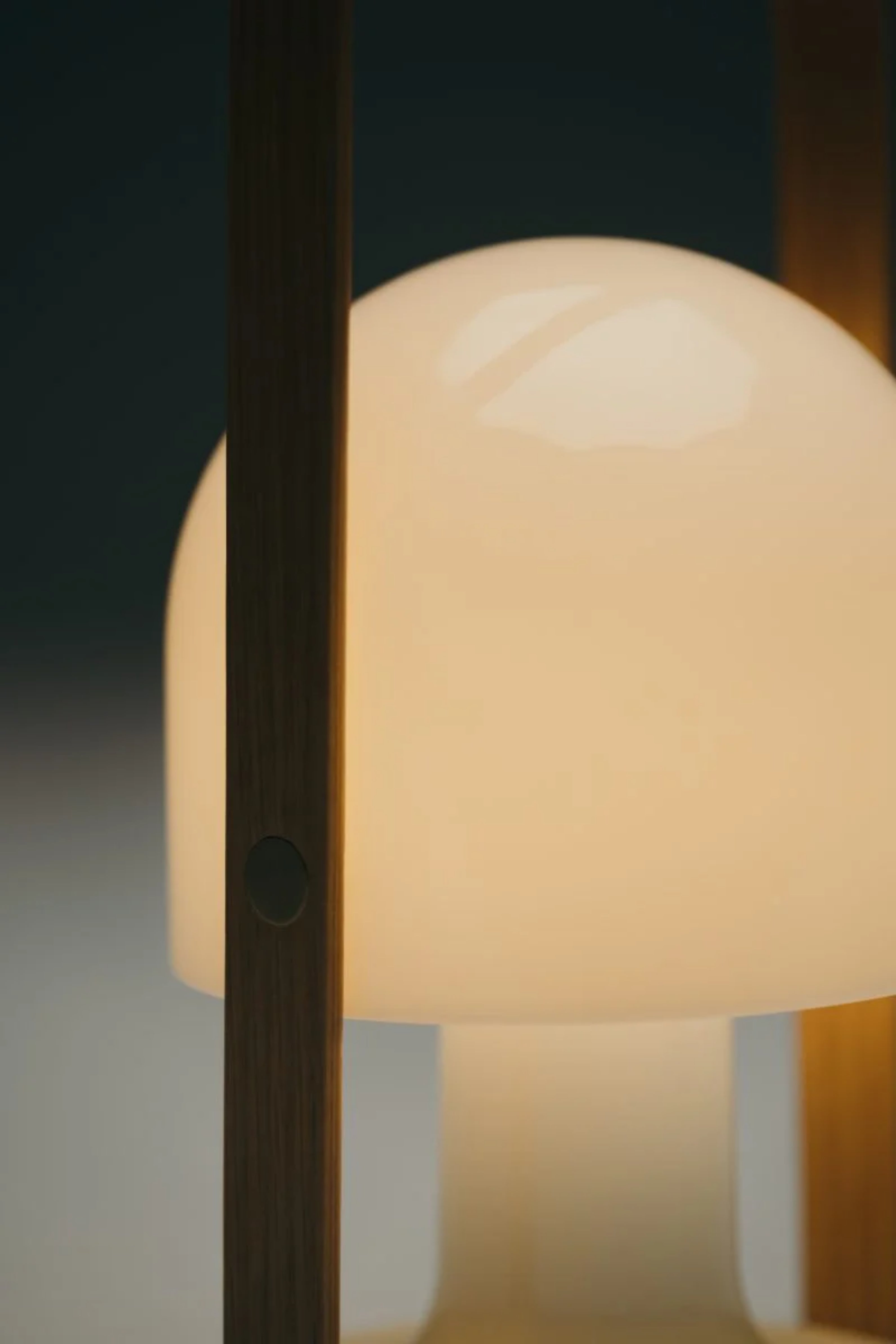 Prenosná lampa FOLLOWME biela s hnedou