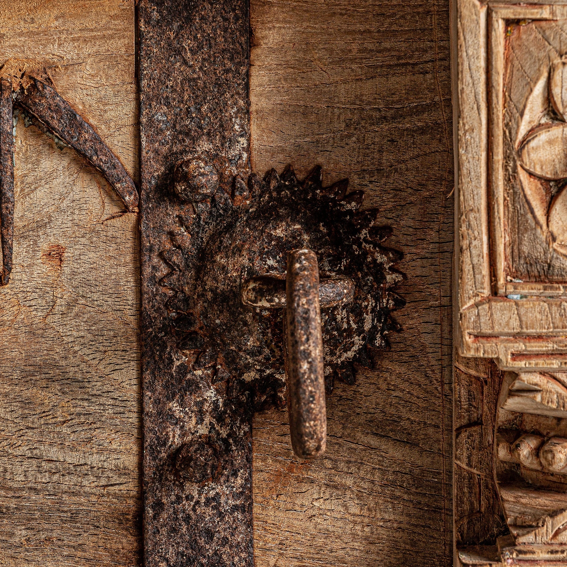 Truhlica PHALODI mango drevo