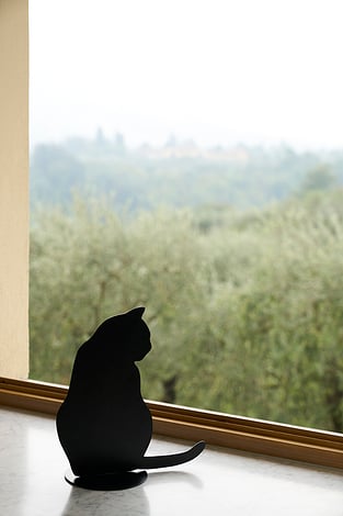 Dekorácia OMBRES DE CHATS čierna