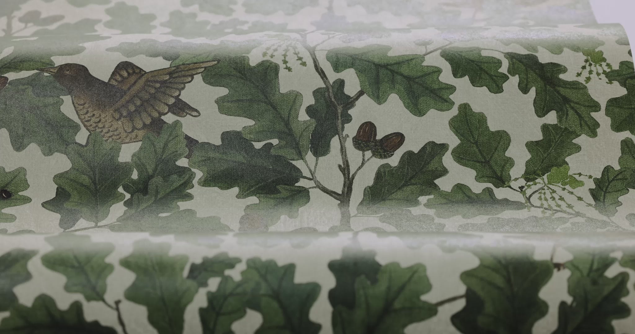 Wallpaper with a plant motif of leaves and birds IN THE OAK green with white