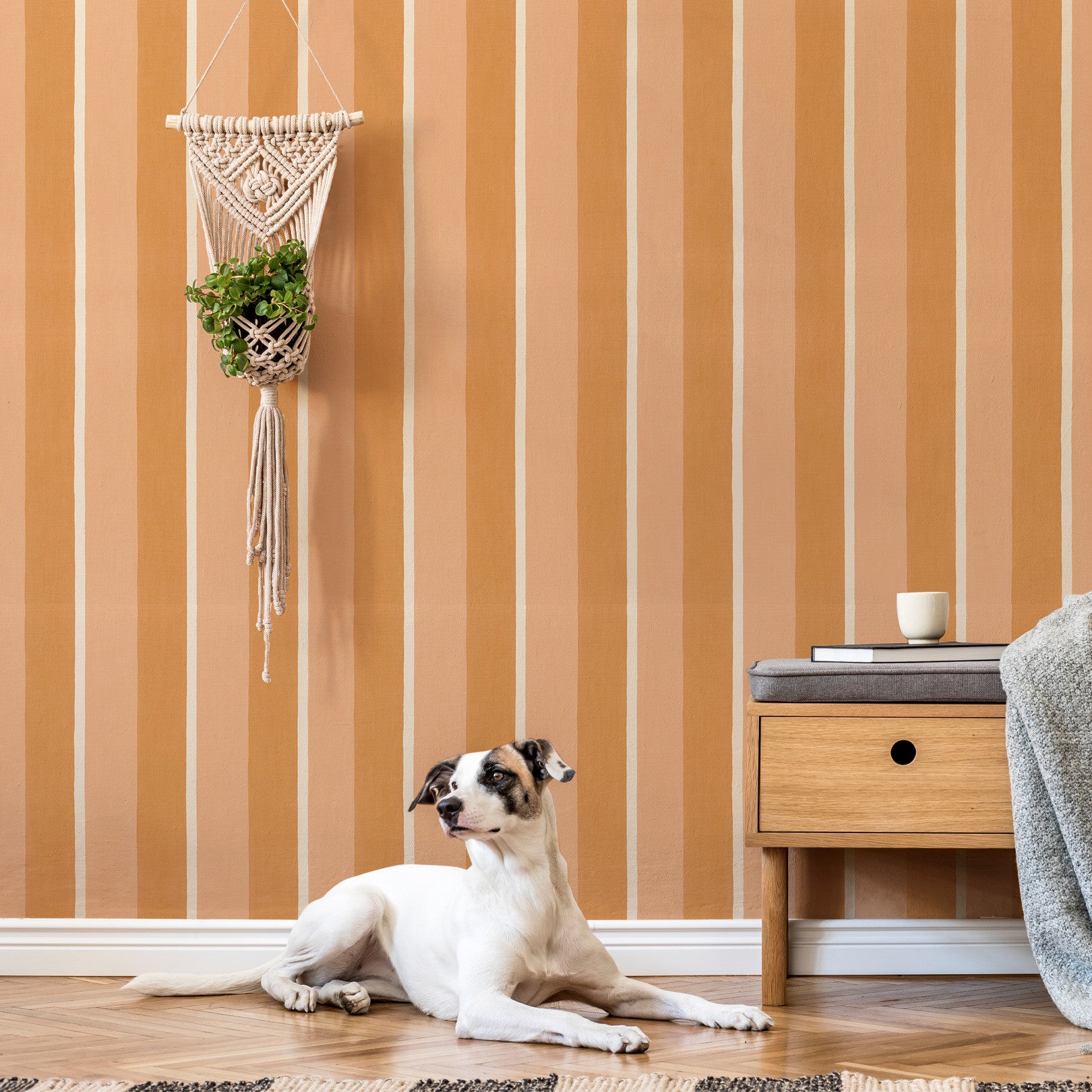 Tapeta so štruktúrou napodobňujúcou plátno v prúžkoch SINOPIA - ABRICOT/PEAU DE PÊCHE broskyňová