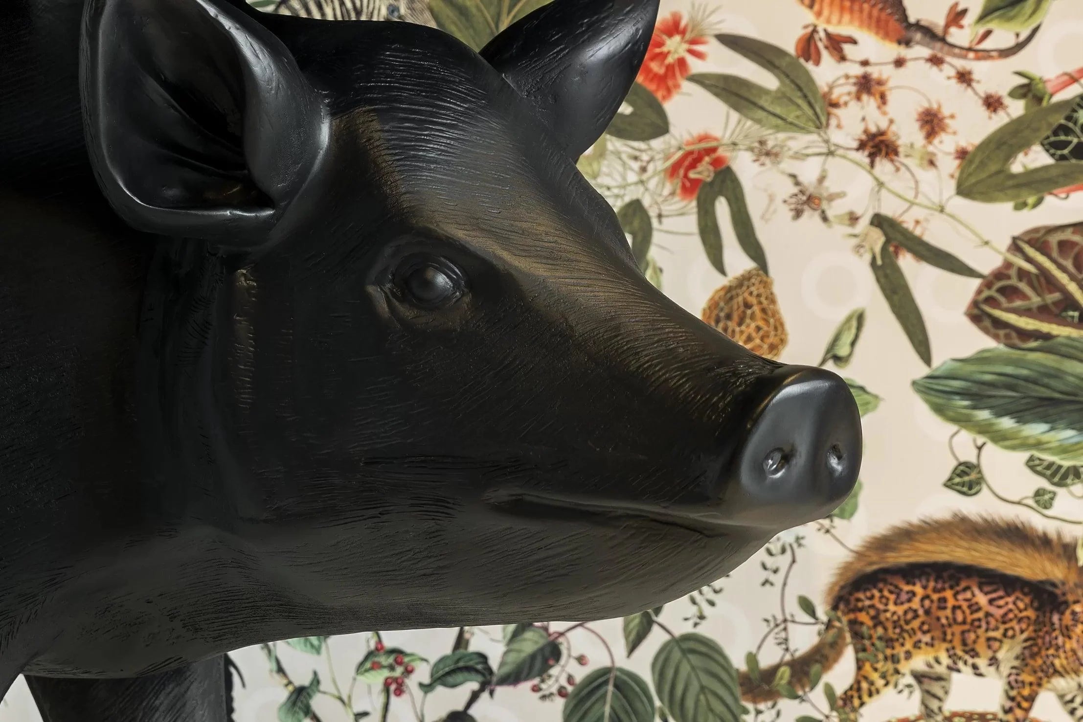 PIG table black Moooi Eye on Design