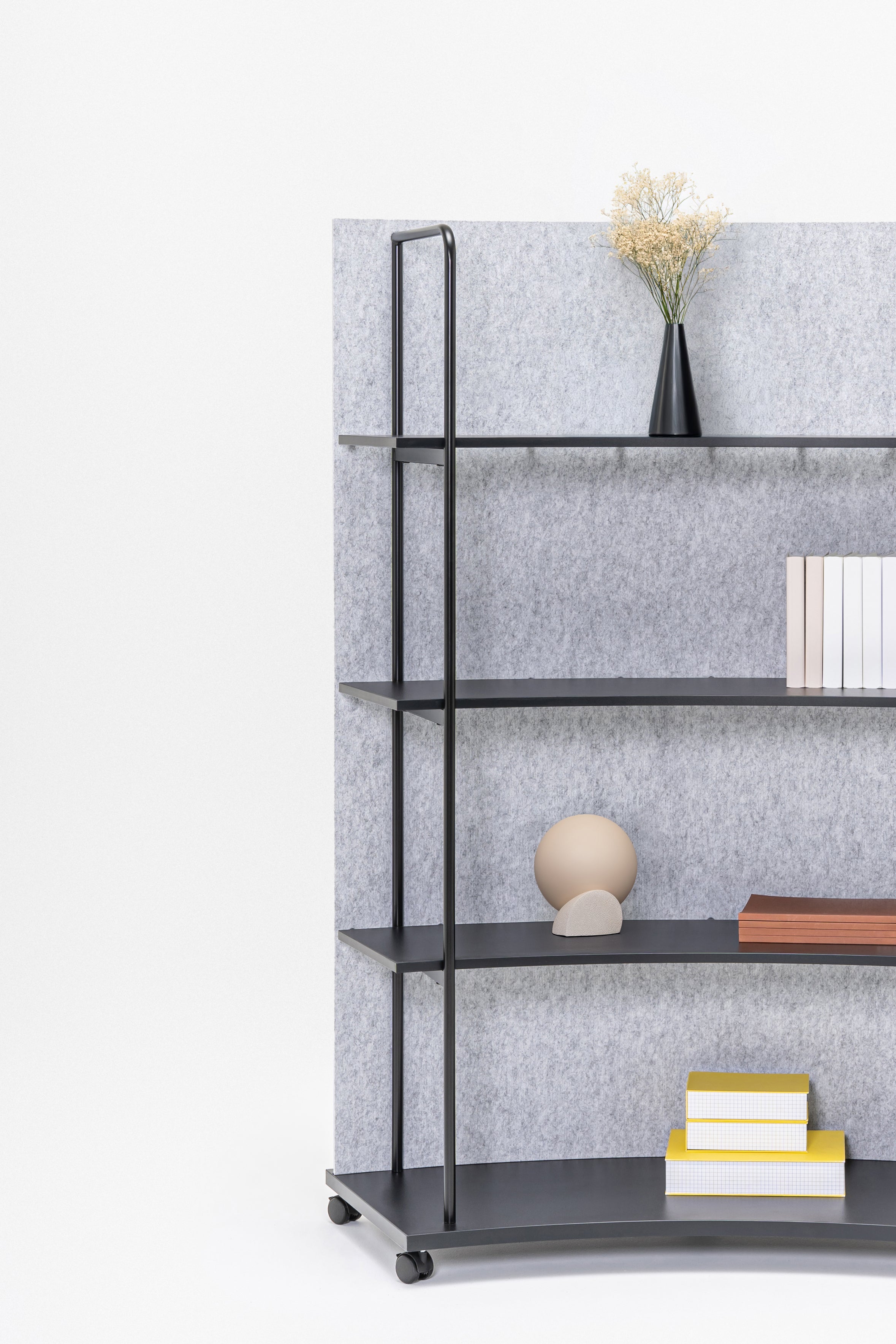 Steel shelving tanca rear from felt