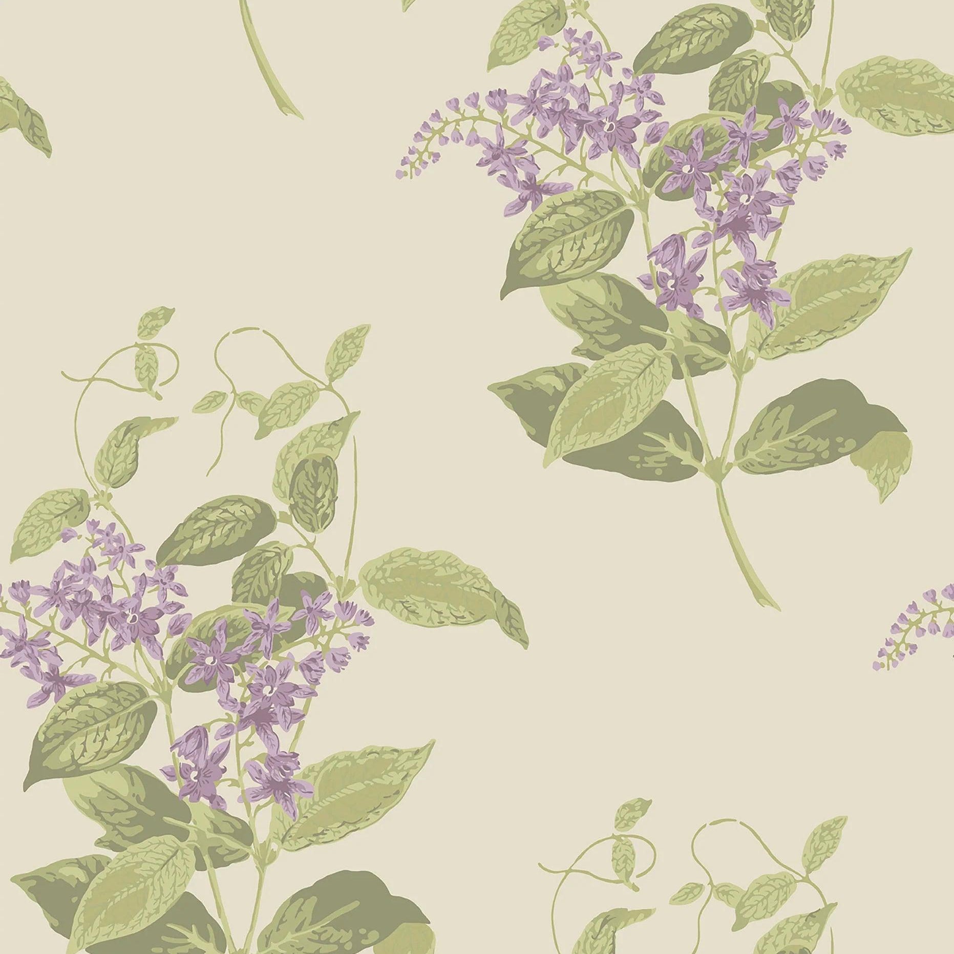 Tapeta ARCHIVE ANTHOLOGY - Madras Violet fiolet na kremie Cole & Son    Eye on Design