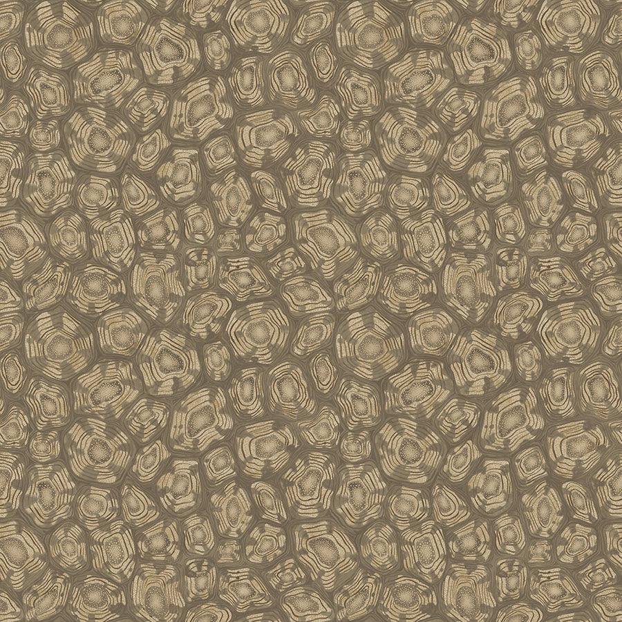 Tapeta ARDMORE JABULA - Savanna Shell brąz i metaliczne złoto Cole & Son    Eye on Design